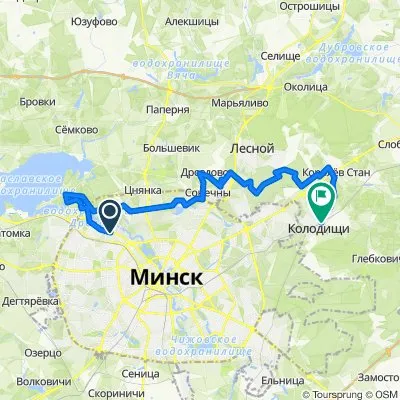 Дрозды - Колодищи