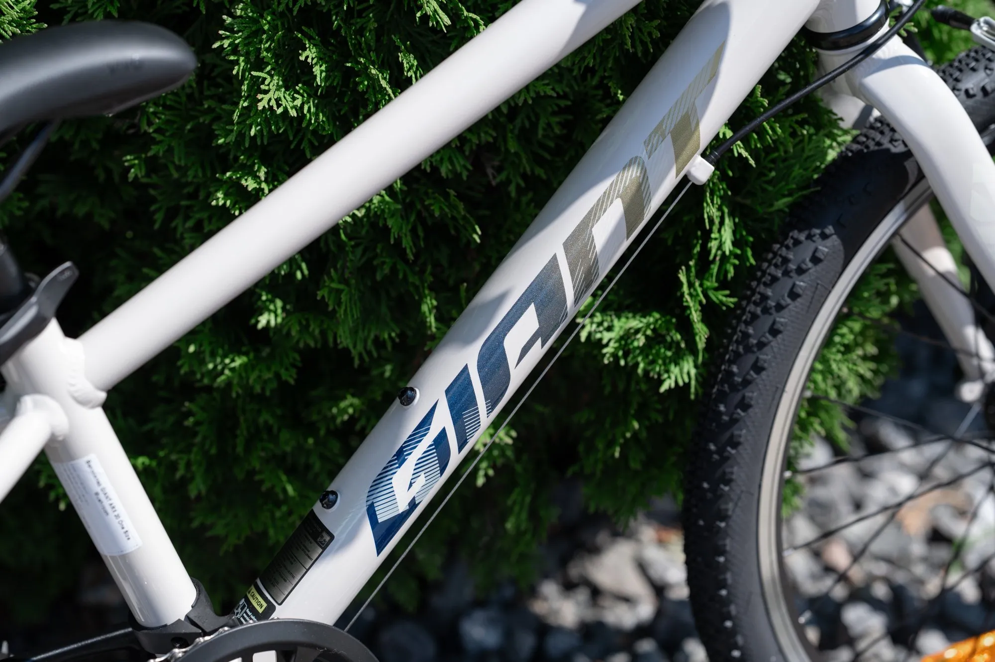 Велосипед GIANT ARX 20 Mushroom