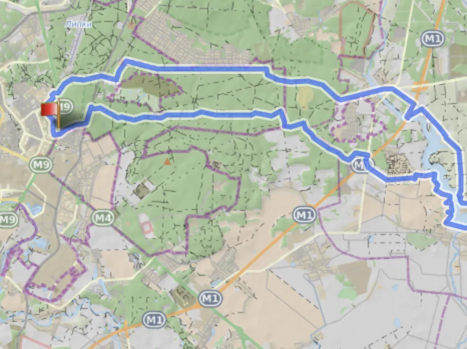 Стиклево-Петровичи-Стиклево