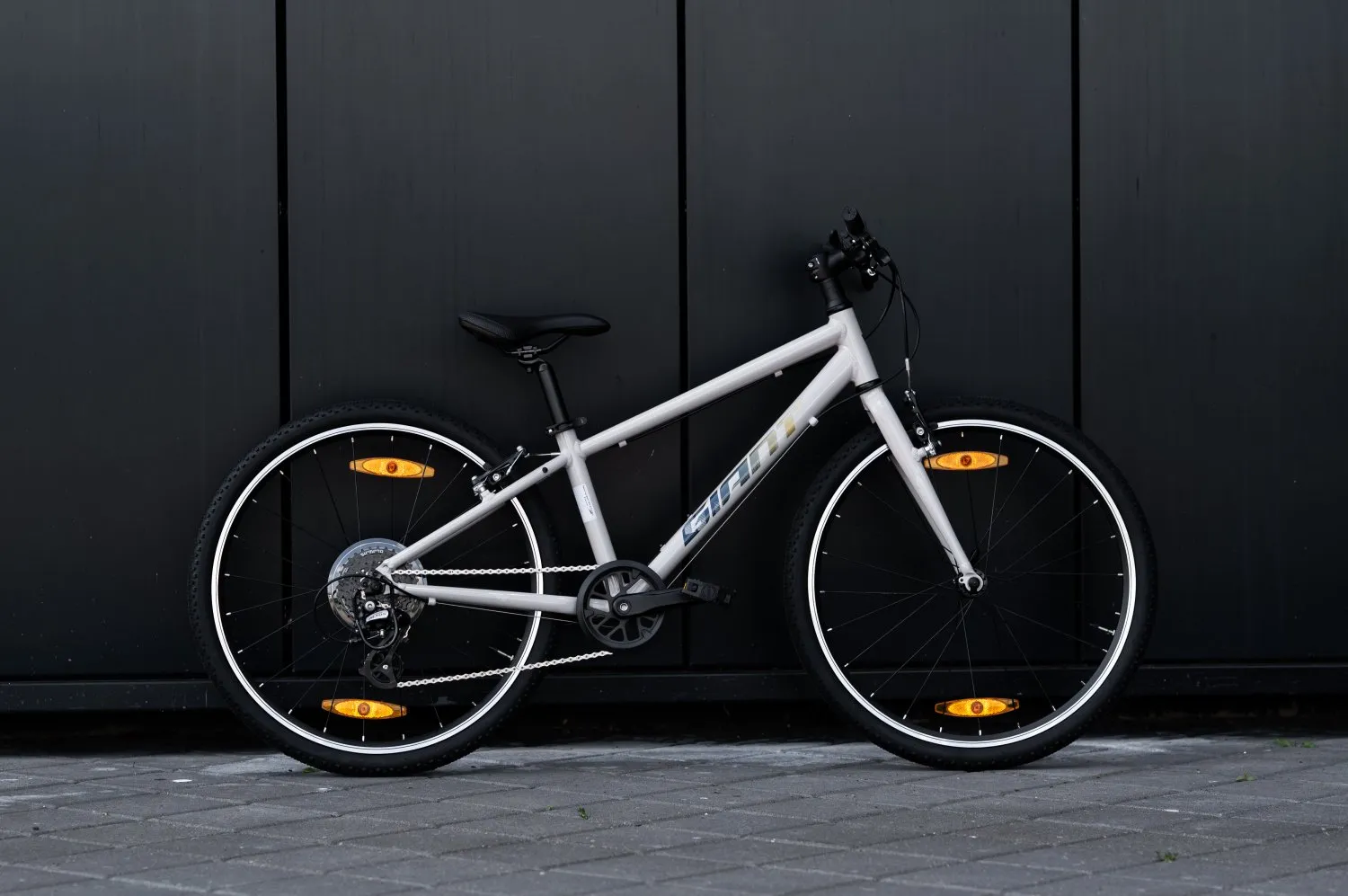 Велосипед GIANT ARX 24 Mushroom