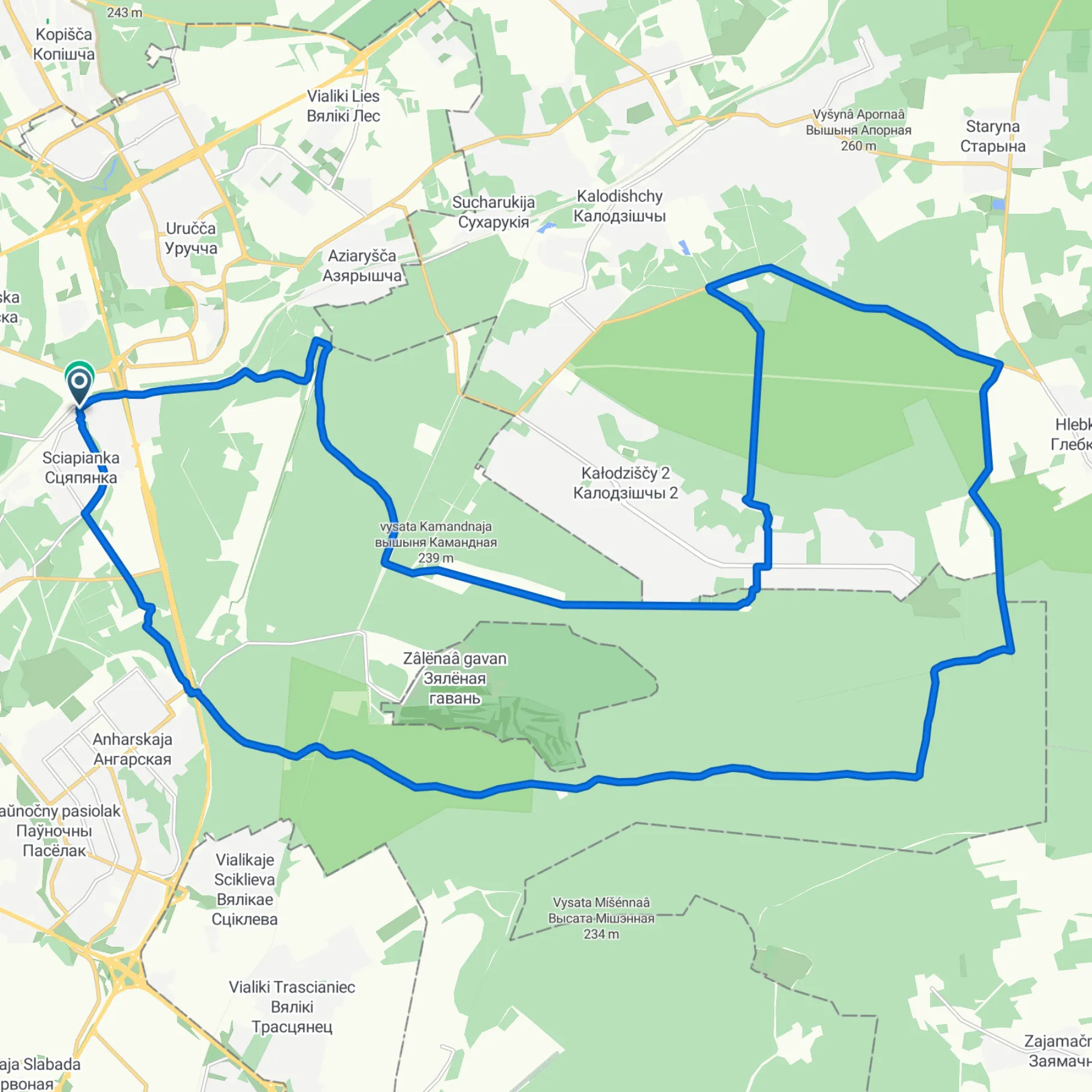 Polygon & Stiklevo Forest G40