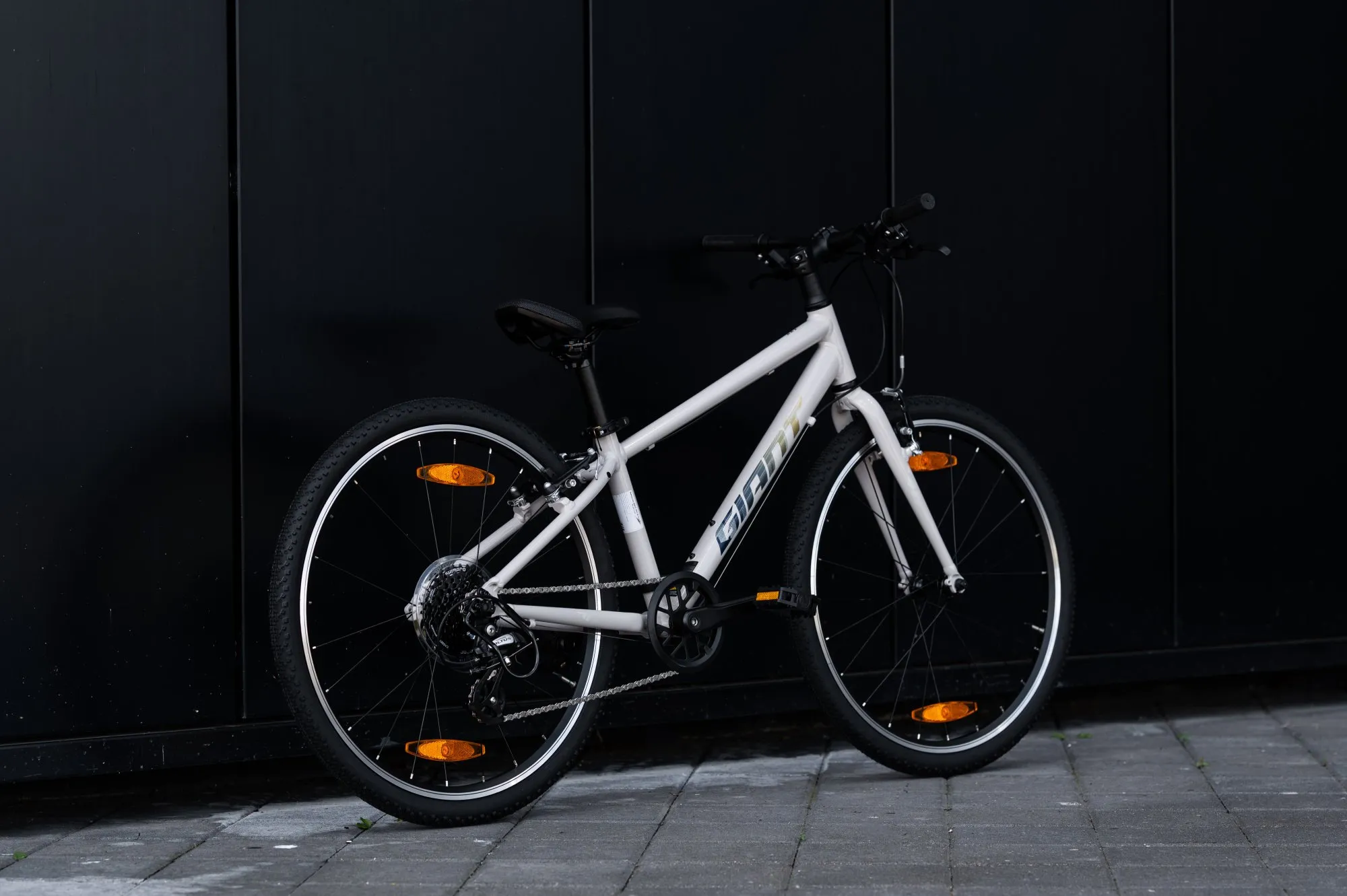 Велосипед GIANT ARX 24 Mushroom