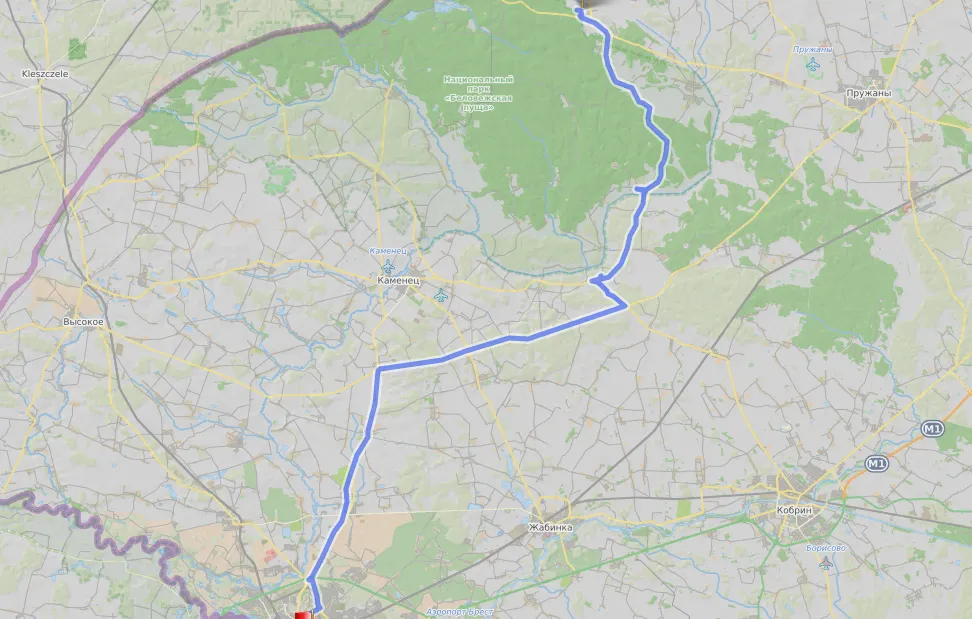 По Беловежской пуще