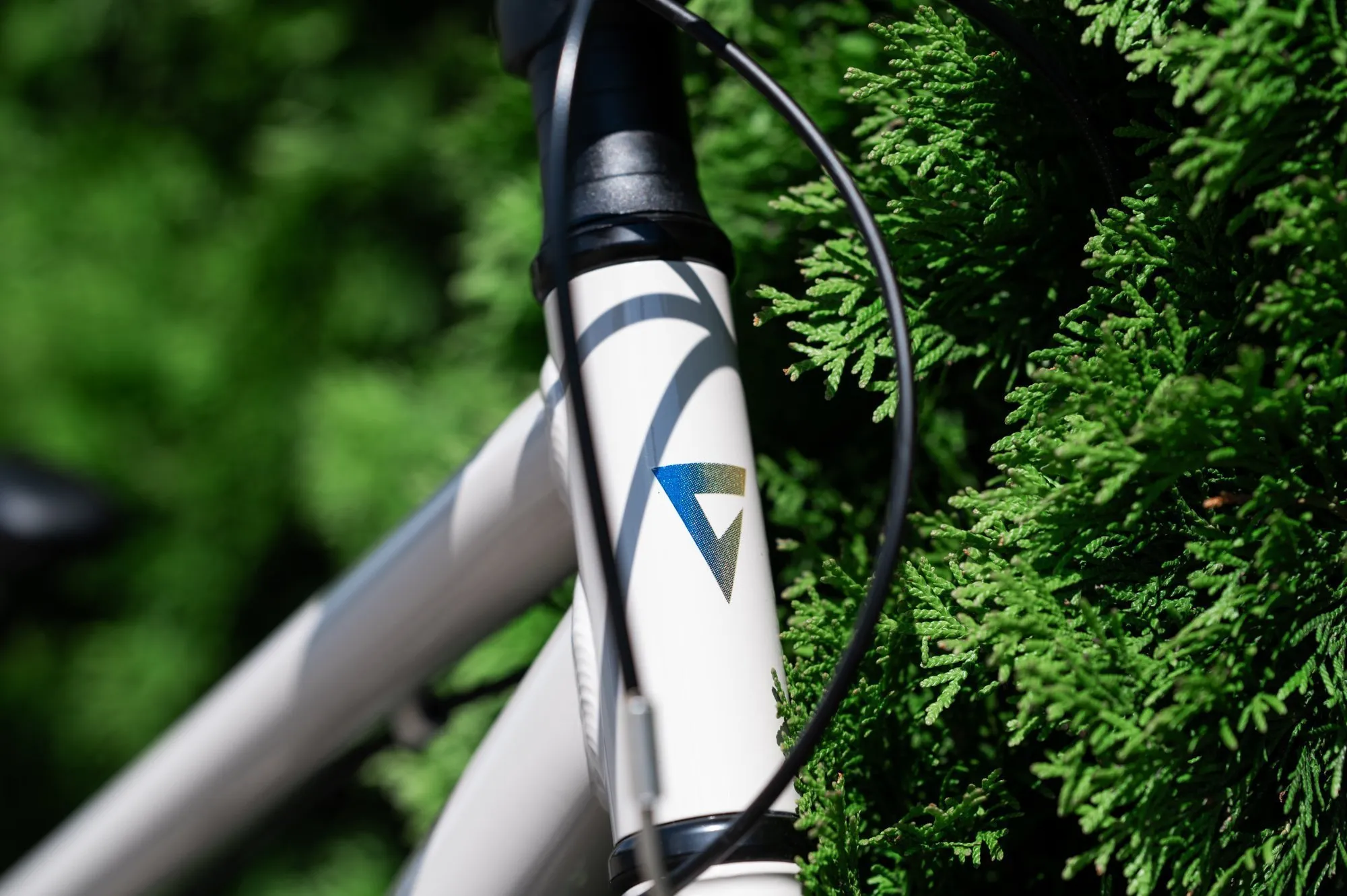 Велосипед GIANT ARX 20 Mushroom