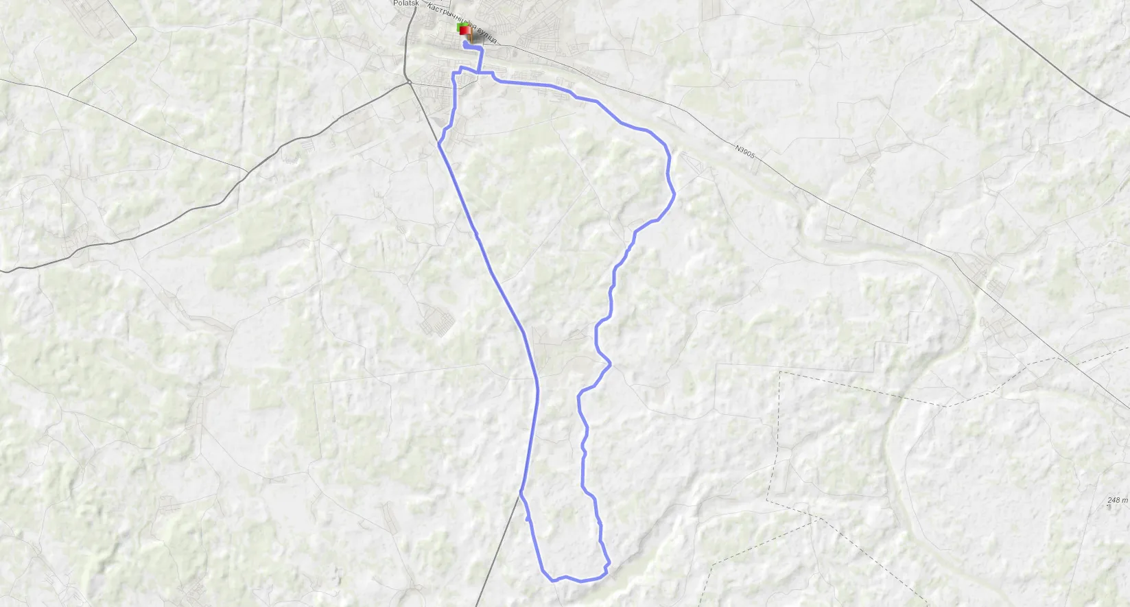 По партизанскому лесу