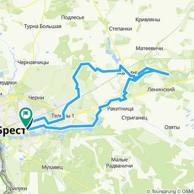 Окрестности Жабинки