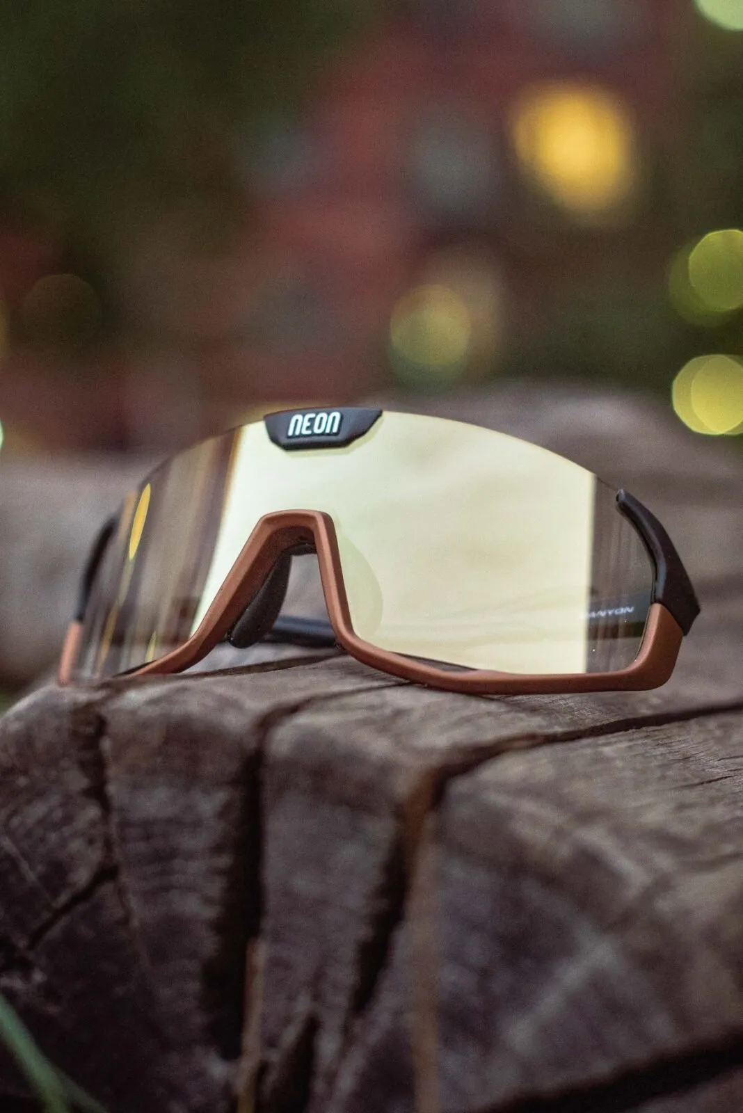 Очки Neon Canyon (Photochrom) Terra Black/Bronze