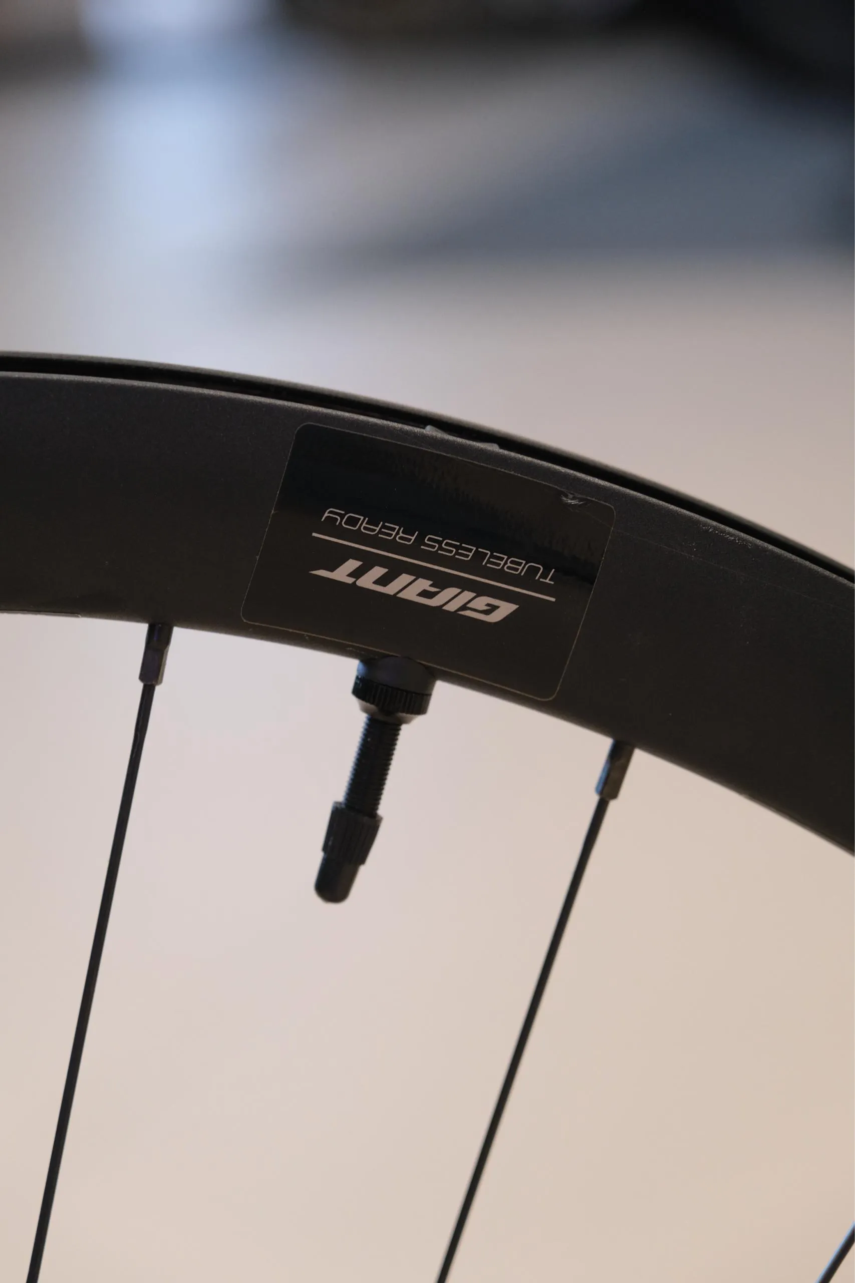 Колёса Giant P-A2 Disc (пара)