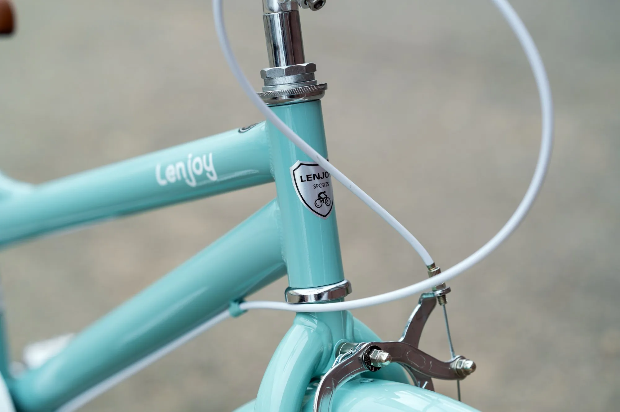 Велосипед детский LENJOY FINDER 20 Plus