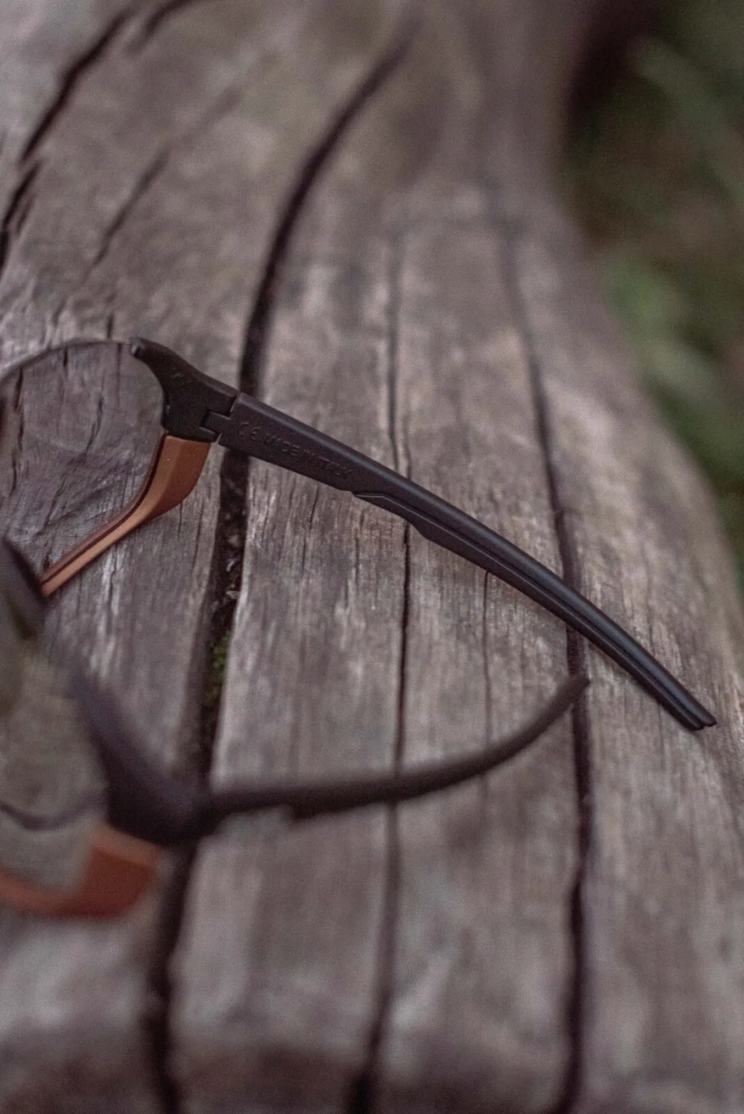 Очки Neon Canyon (Photochrom) Terra Black/Bronze