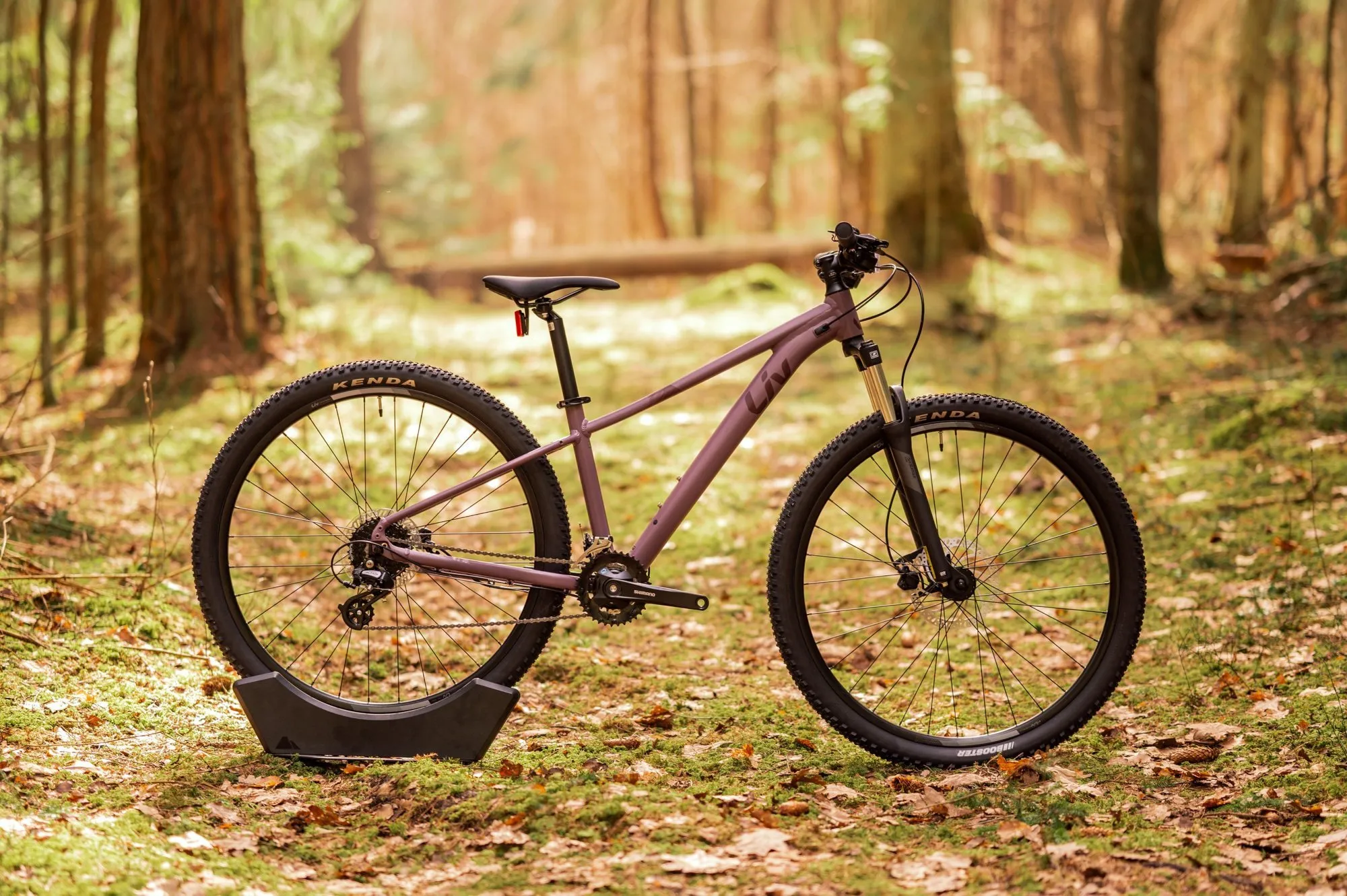 Велосипед Liv TEMPT 3