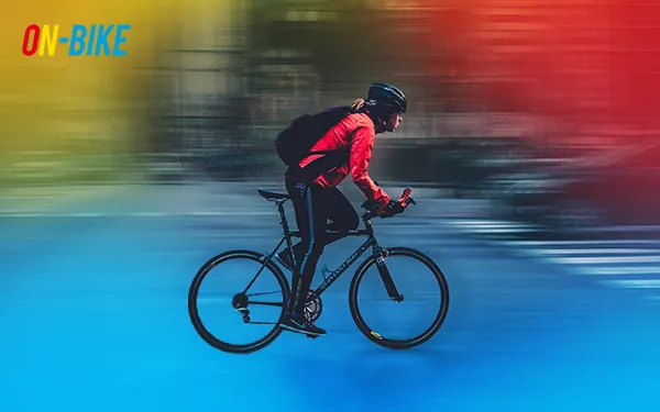 Байкфит - базовый