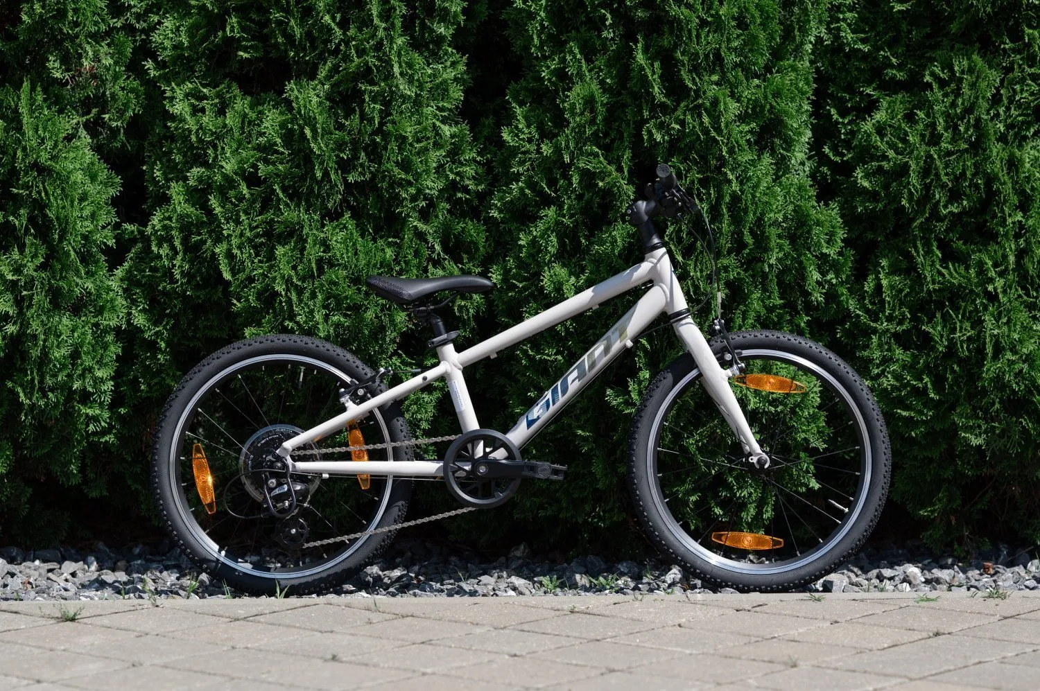 Велосипед GIANT ARX 20 Mushroom