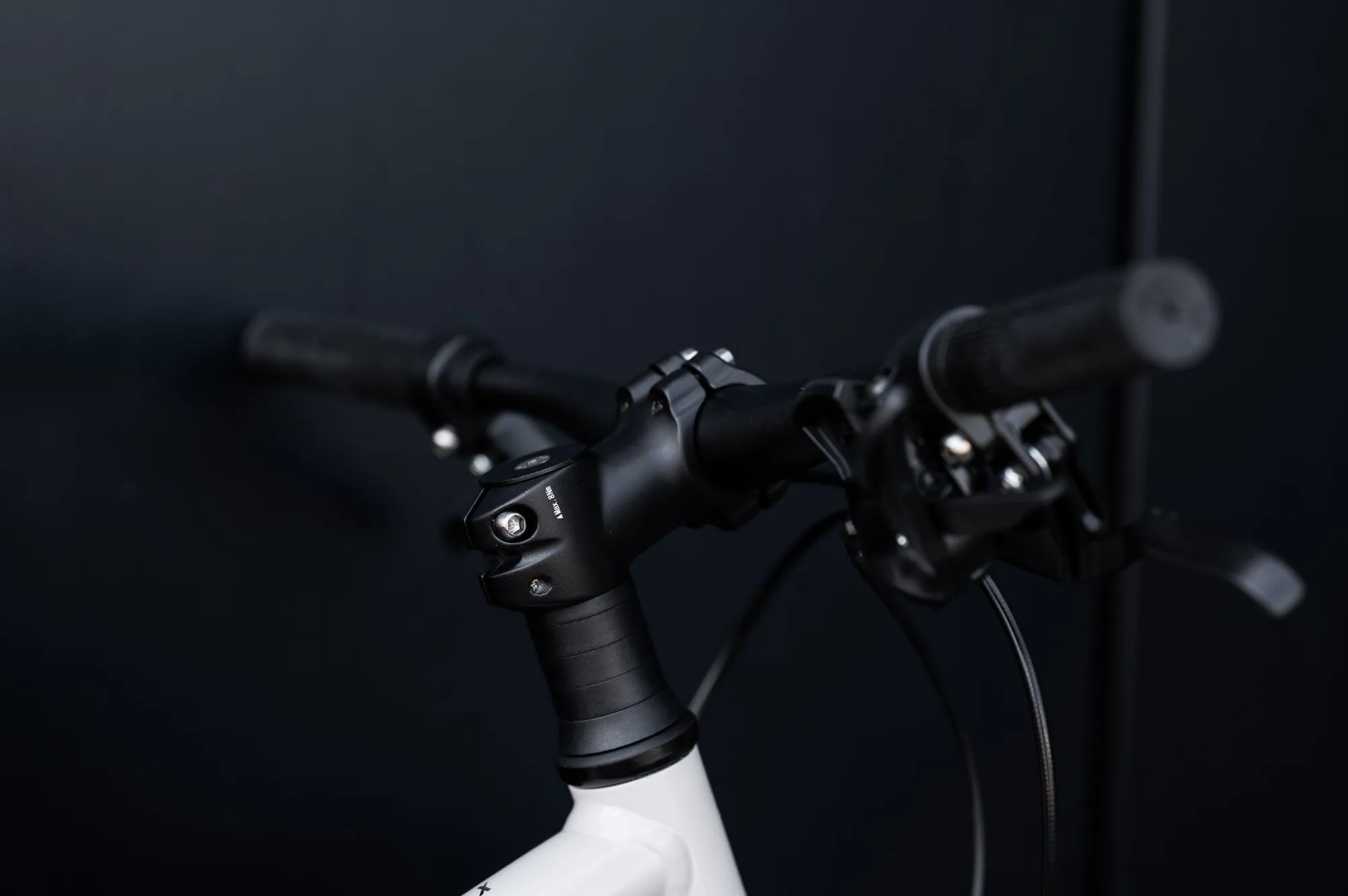 Велосипед GIANT ARX 24 Mushroom