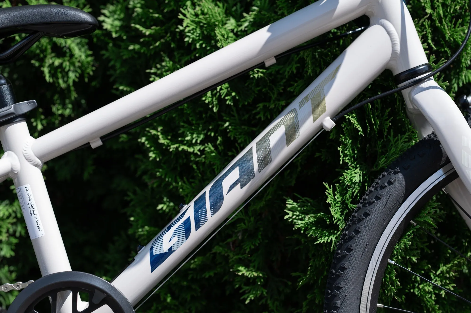 Велосипед GIANT ARX 20 Mushroom