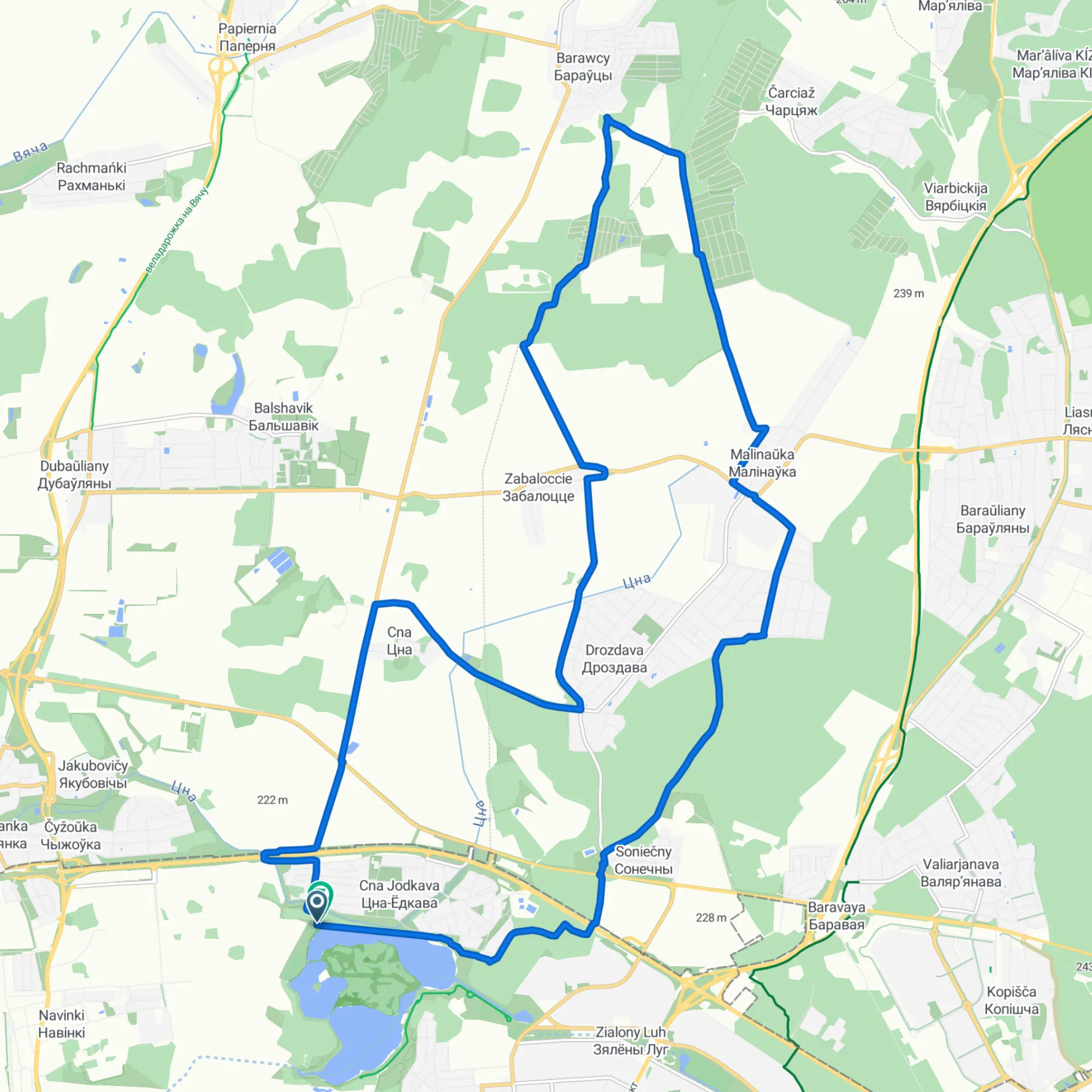 Цнянский лесогрэвел G25