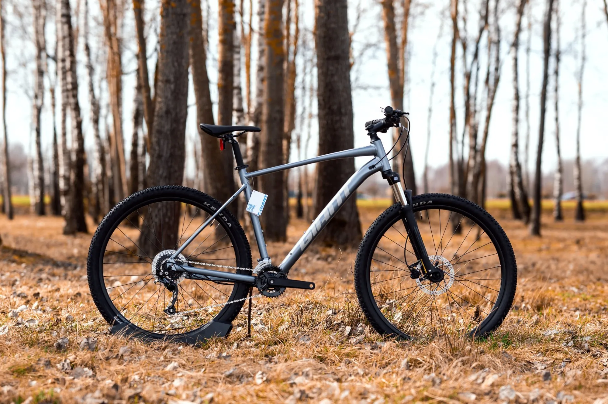 Велосипед Giant TALON 2