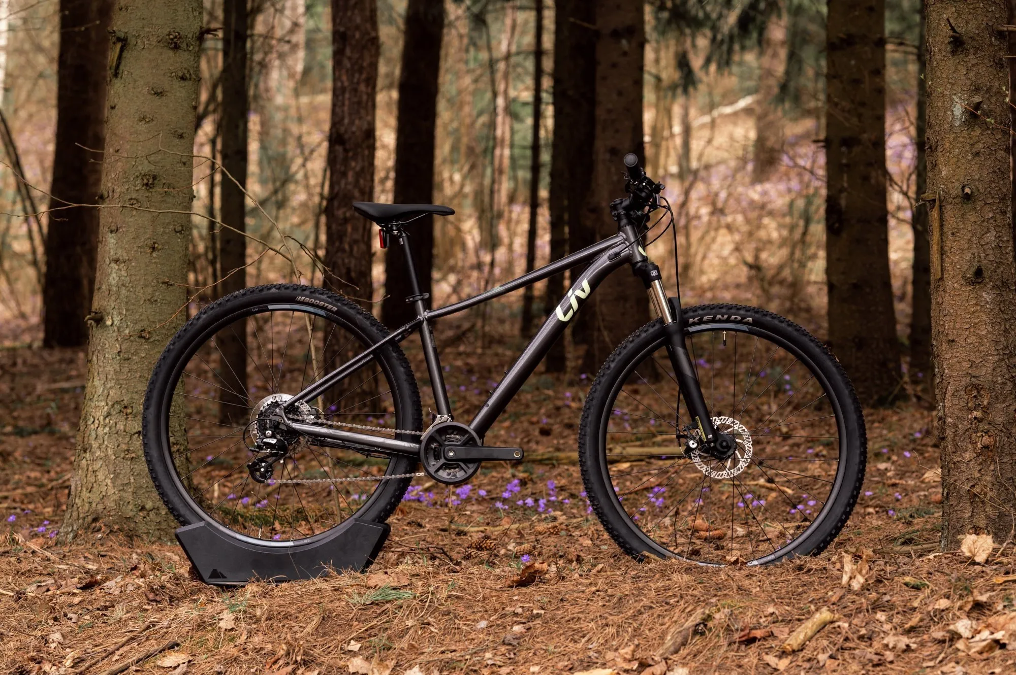 Велосипед Liv TEMPT 4