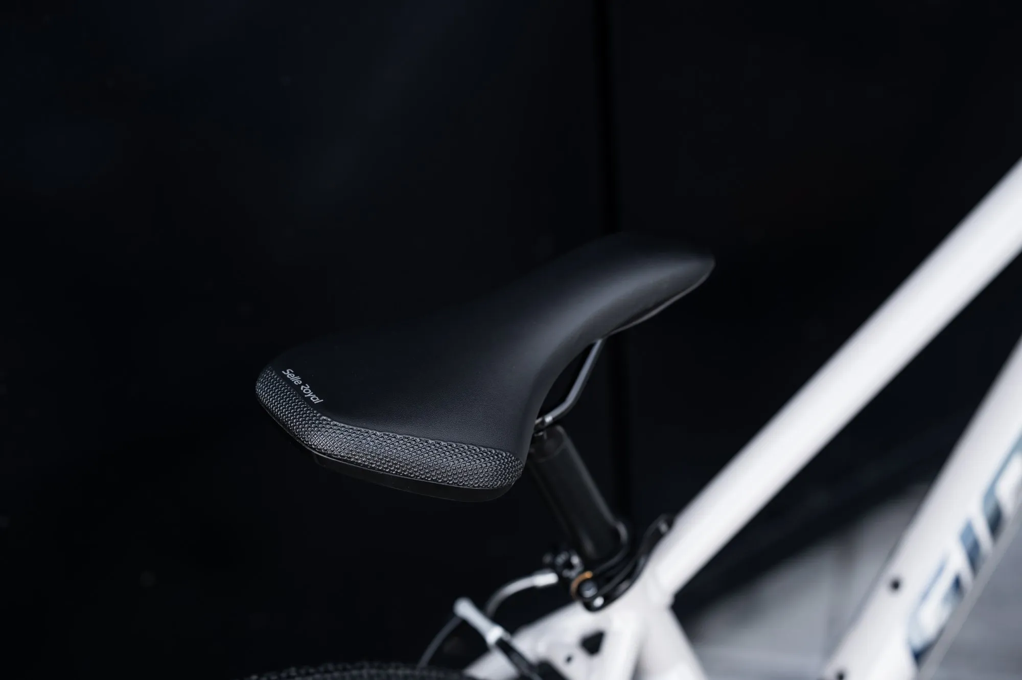 Велосипед GIANT ARX 24 Mushroom