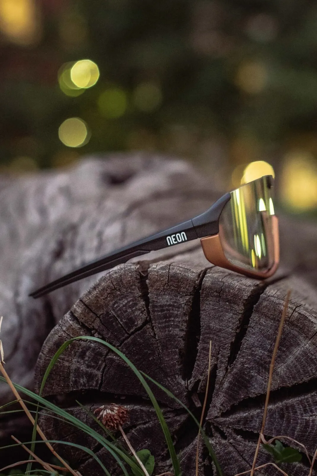 Очки Neon Canyon (Photochrom) Terra Black/Bronze