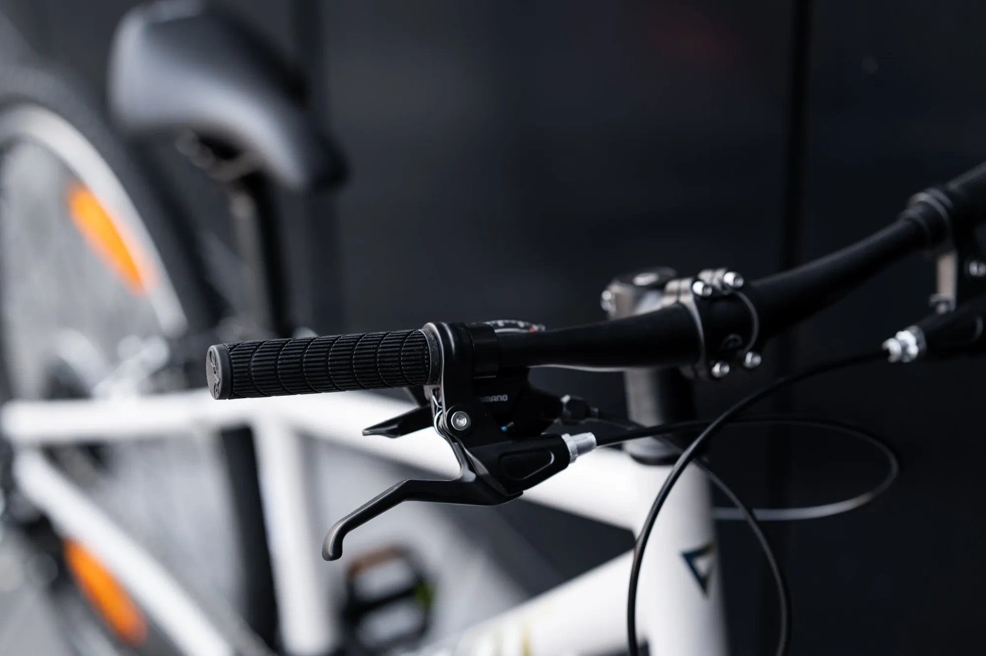 Велосипед GIANT ARX 24 Mushroom