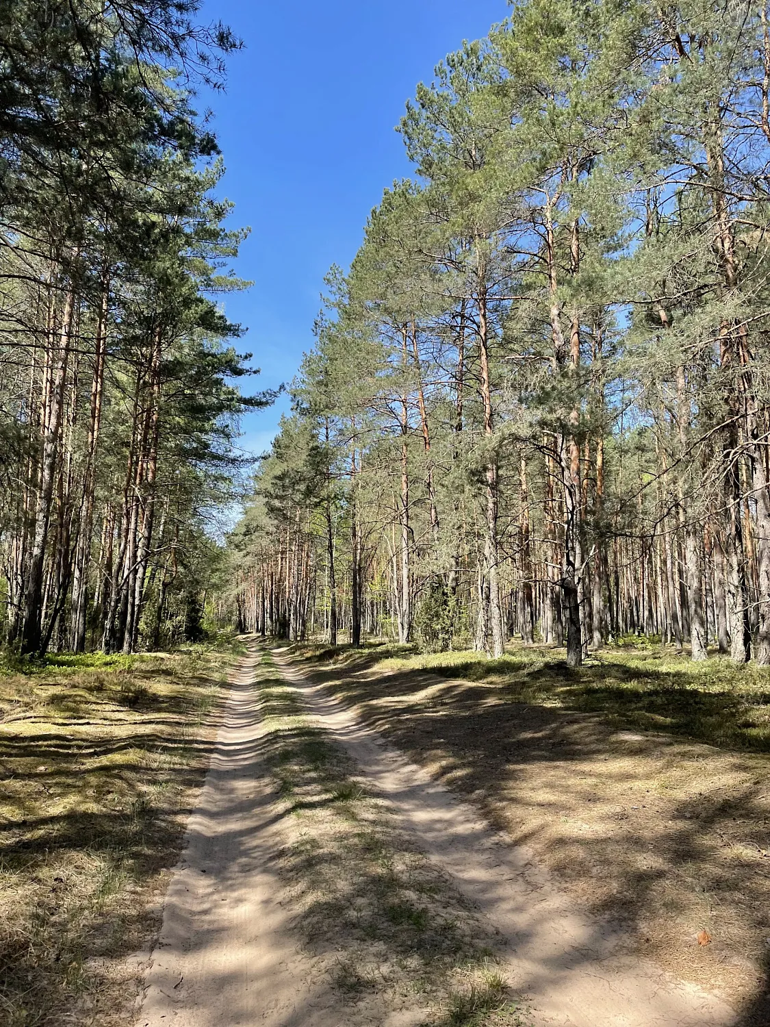 Zaslavl to Smarhon (115k)