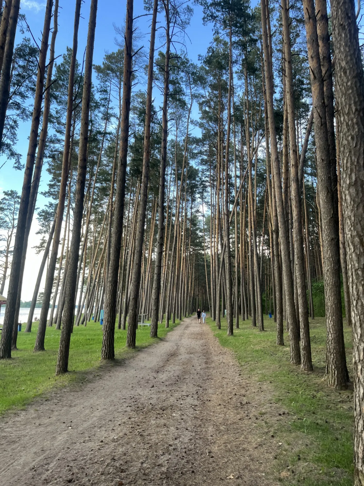 Маршрут #3 от магазина ON-BIKE (с фото)