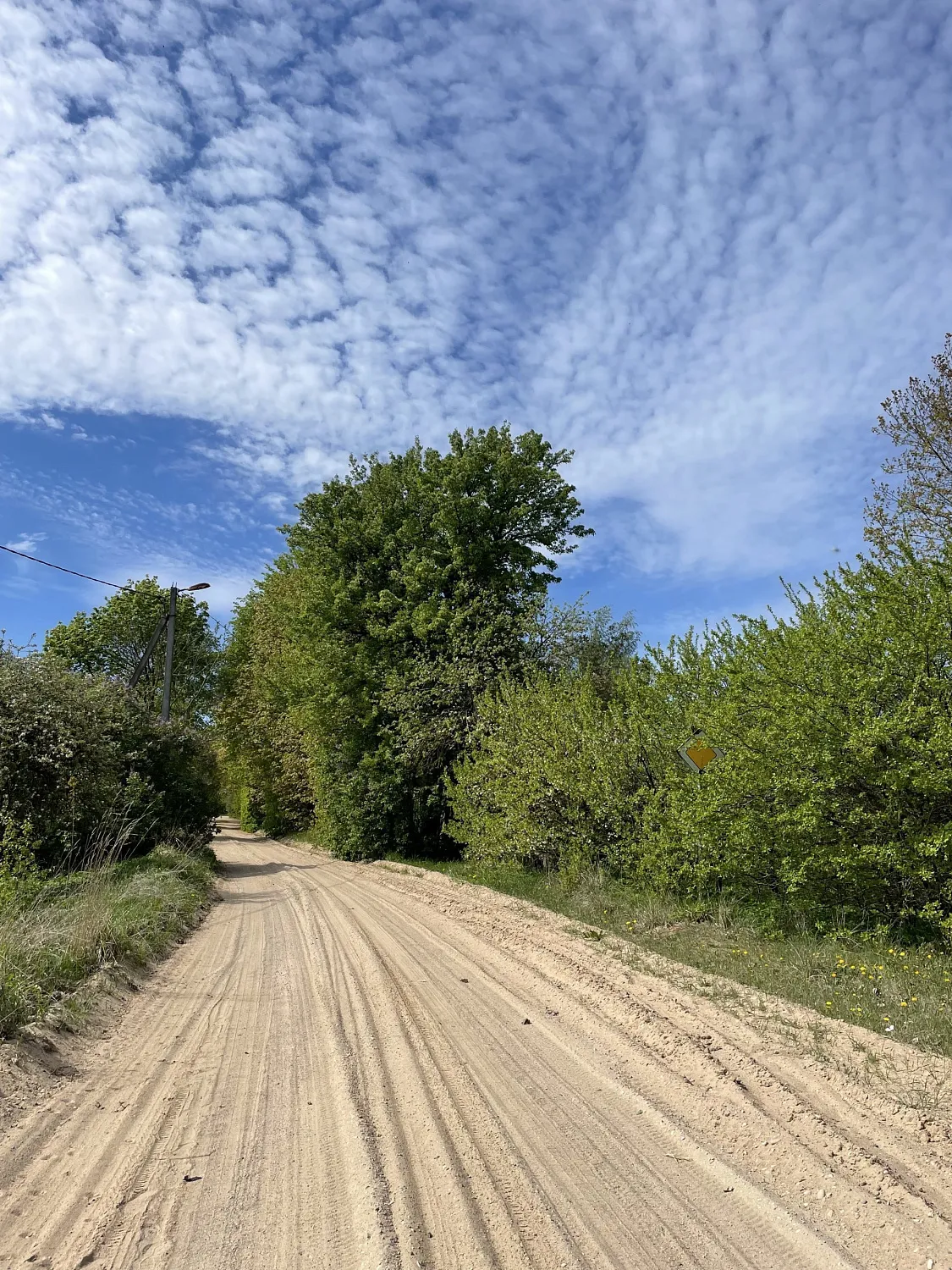 Zaslavl to Smarhon (115k)