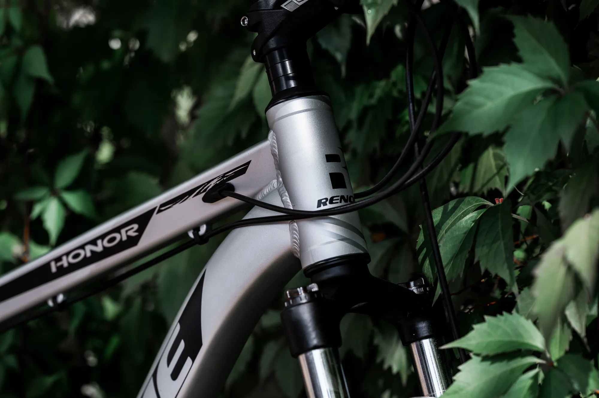 Велосипед RENOME HONOR 29"