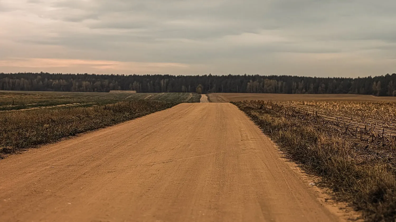 Цнянский лесогрэвел G25