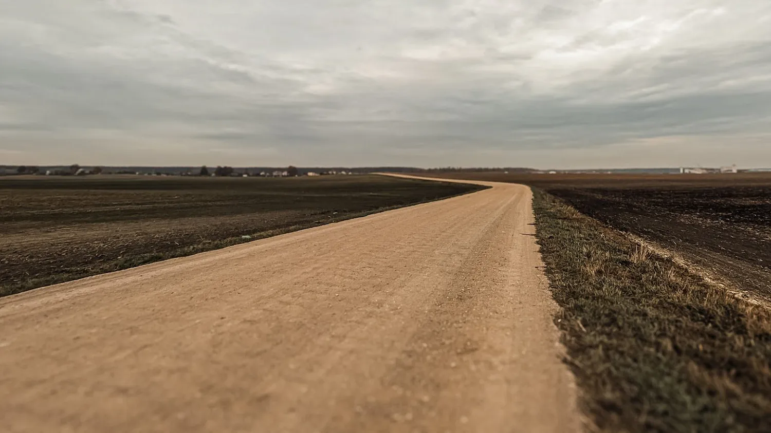 Цнянский лесогрэвел G25