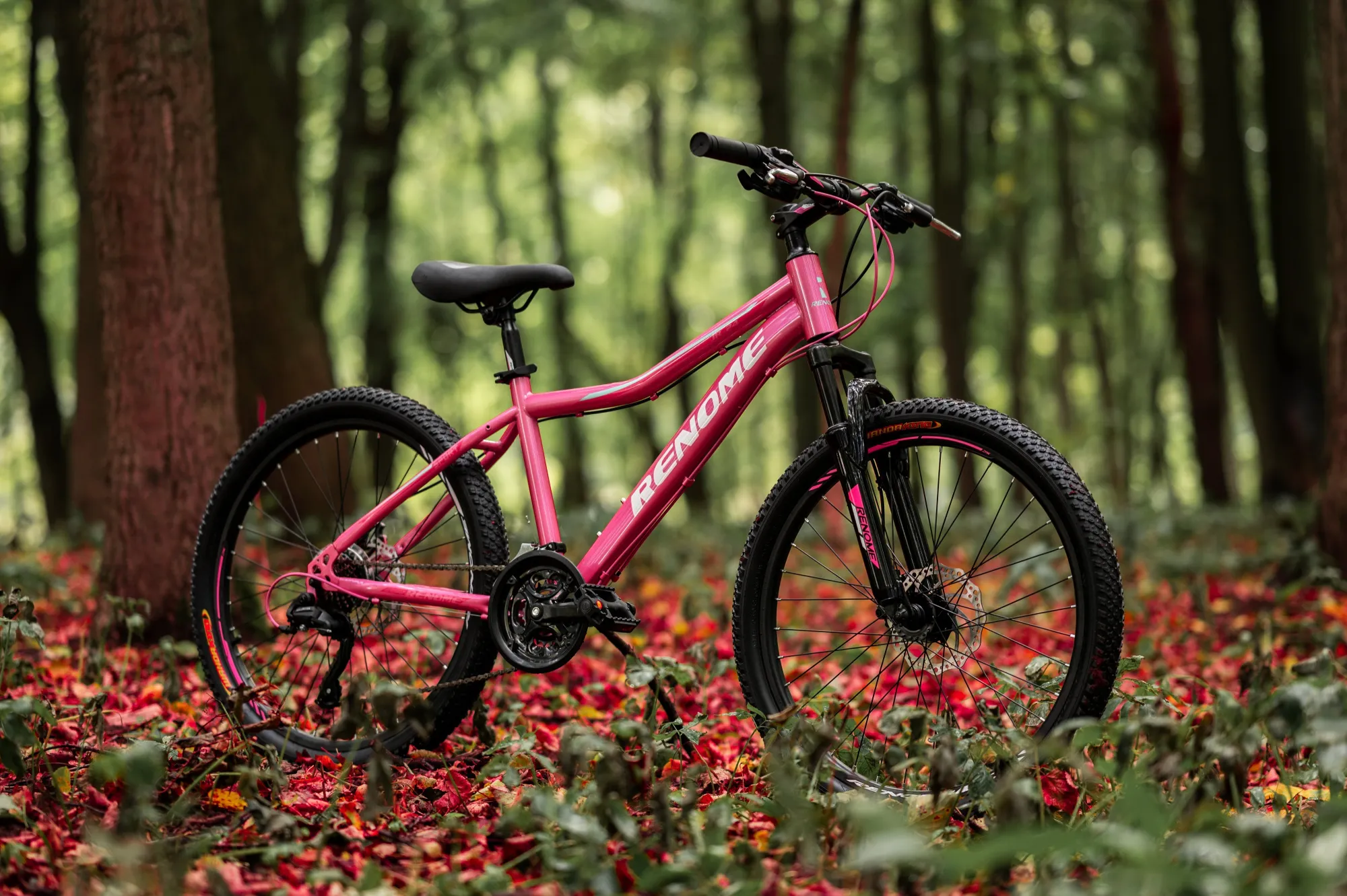 Велосипед RENOME JR 24