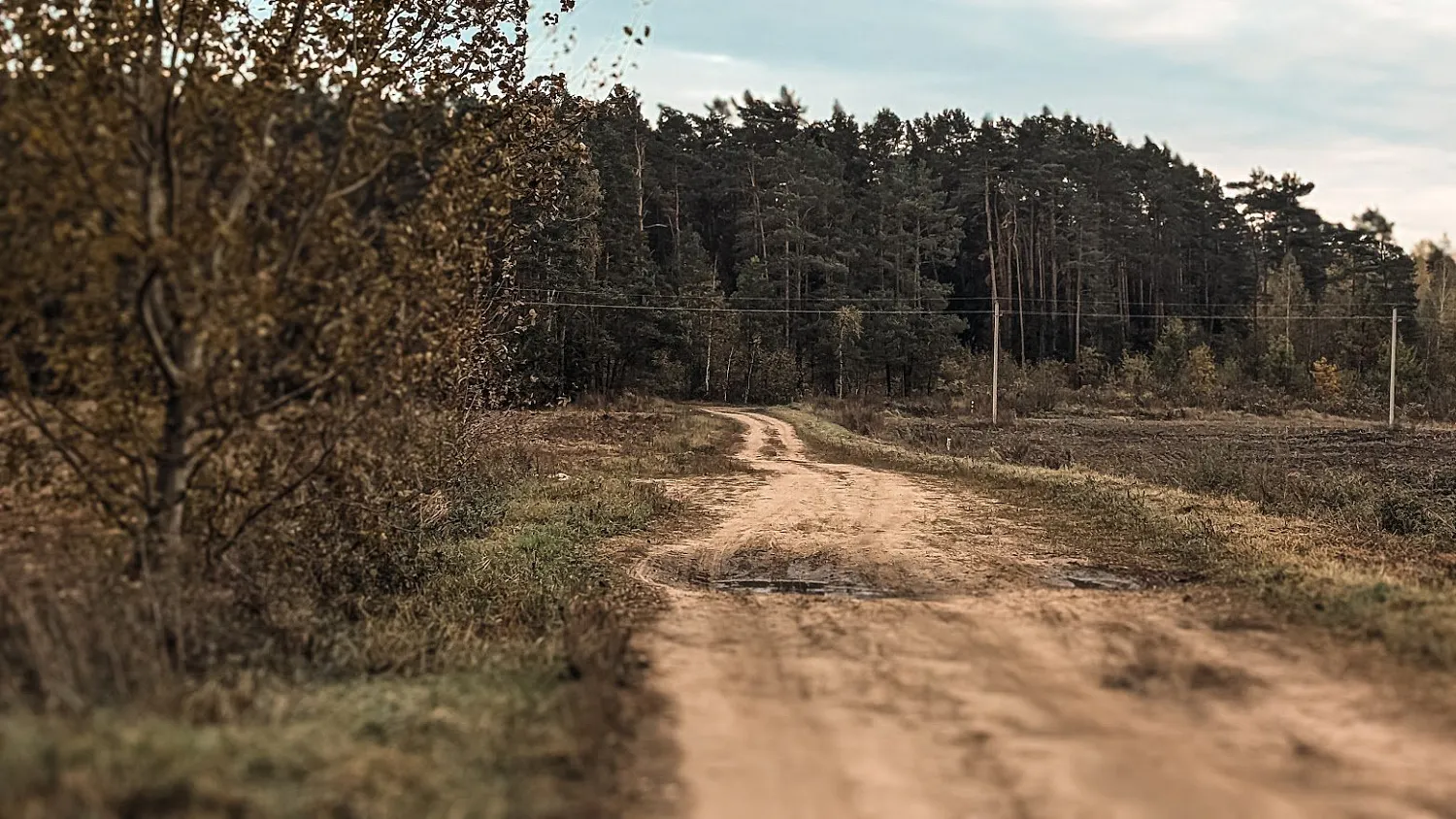 Цнянский лесогрэвел G25