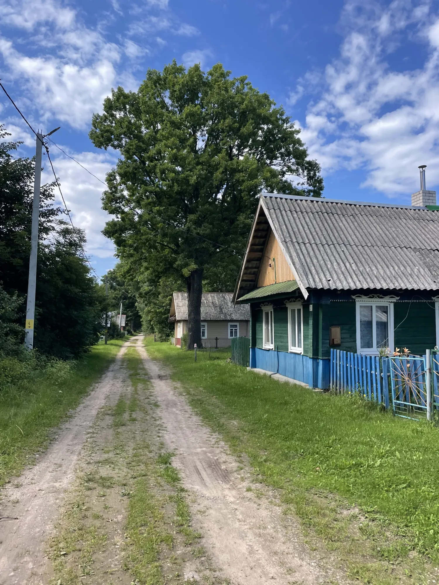 From Zales'e around Vishnevo lake 109k