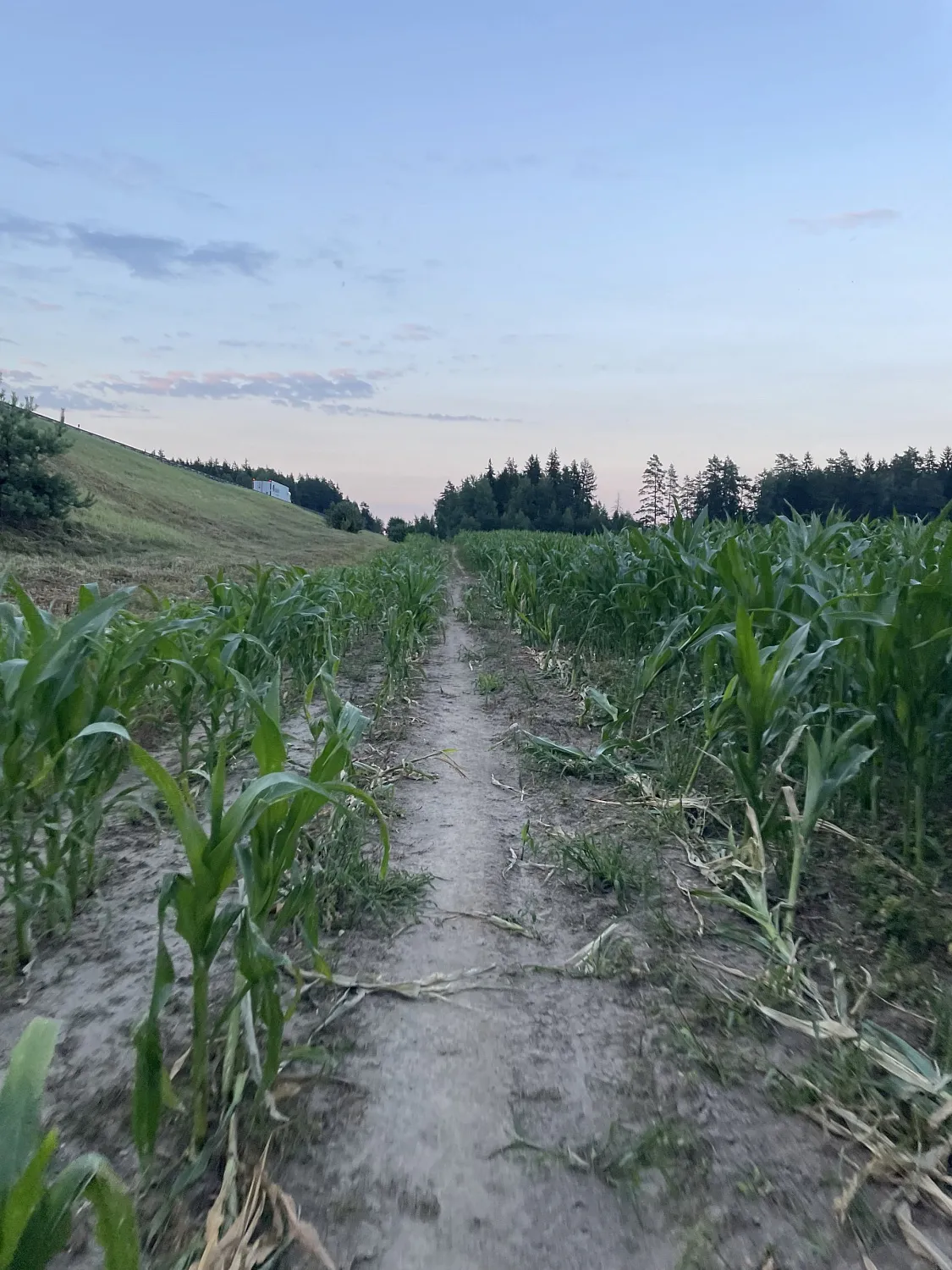 Kolodishi-Smolevichi 60k loop