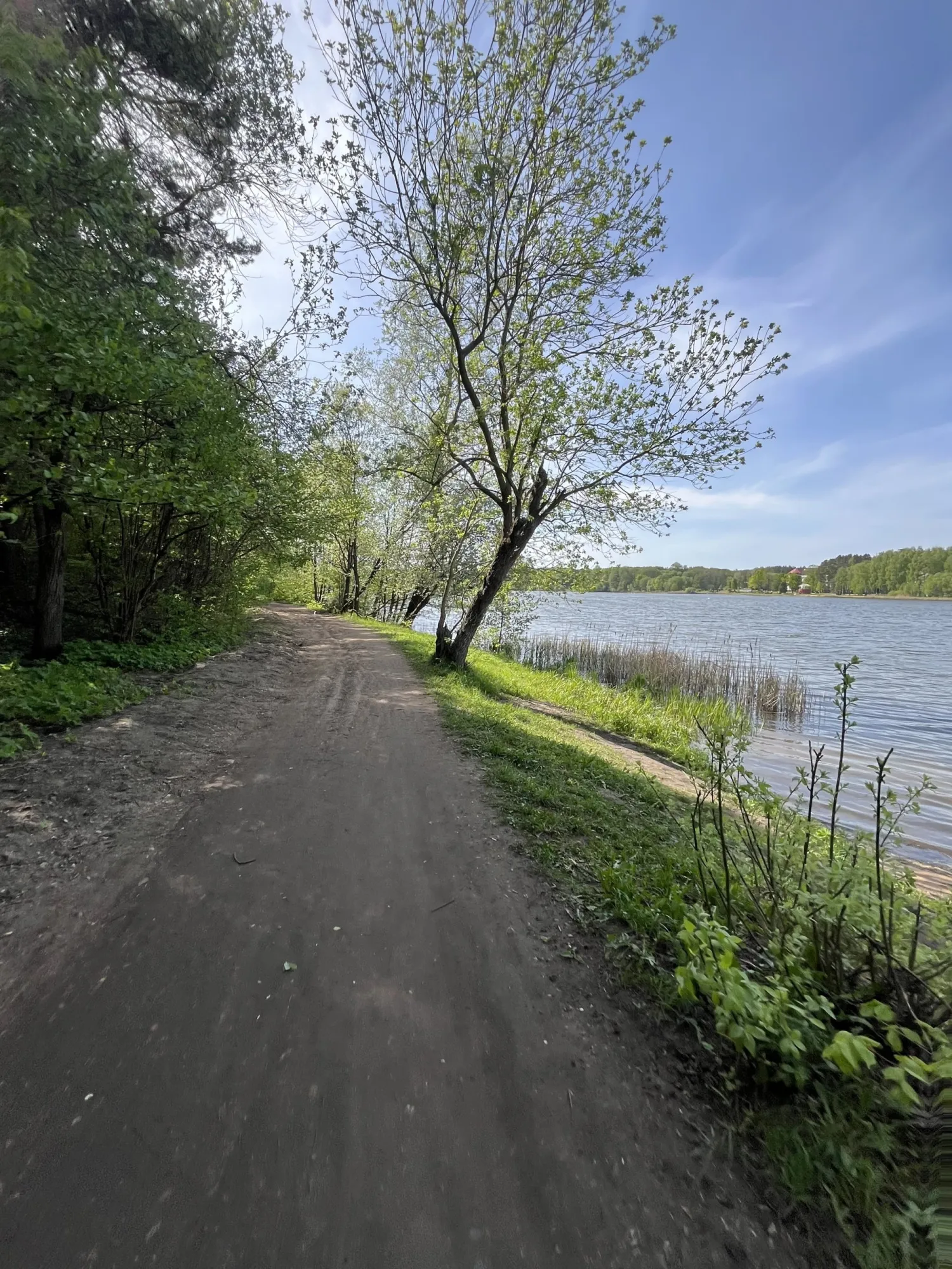 Маршрут #1 от магазина ON-BIKE (с фото)