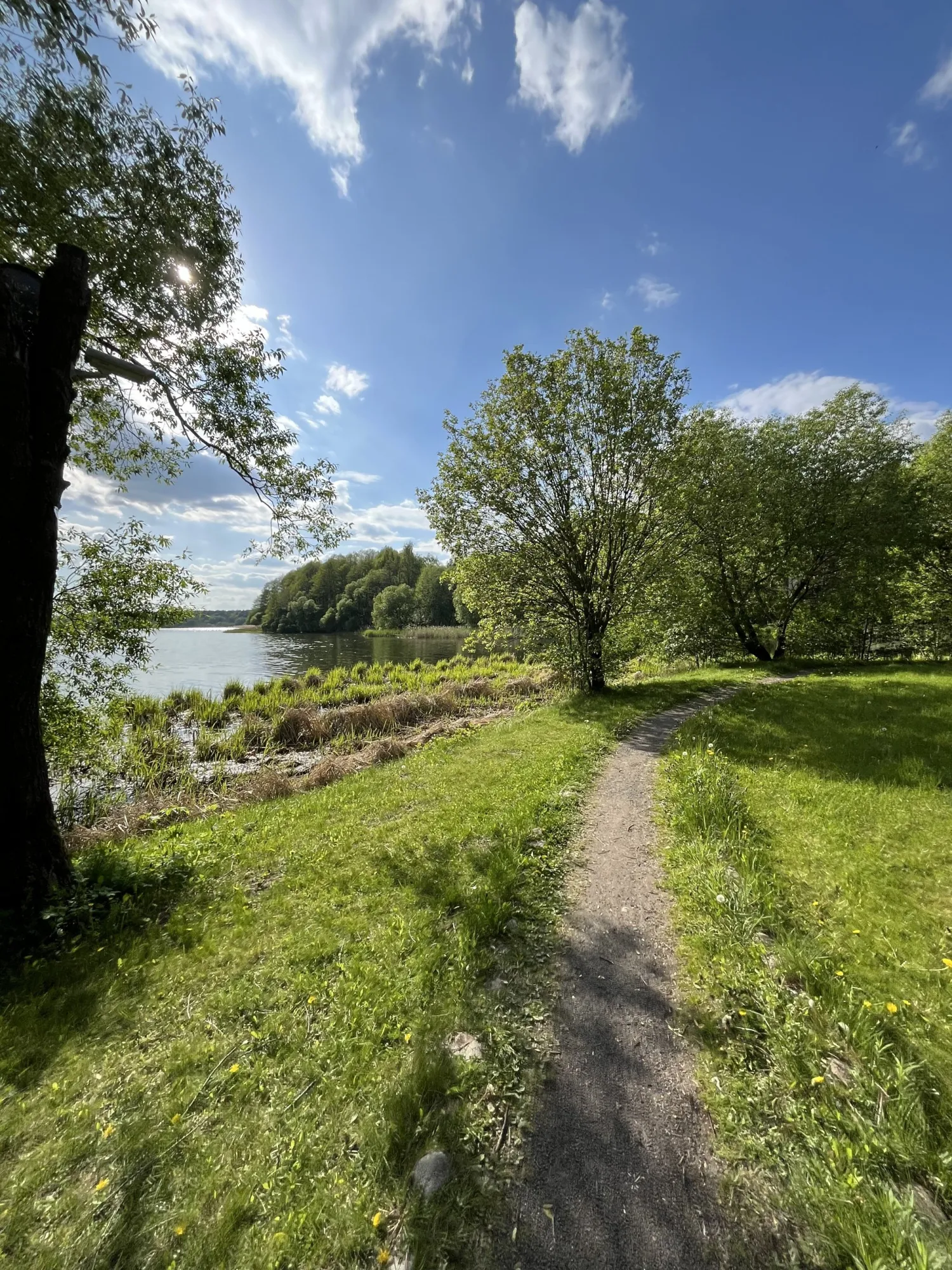 Маршрут #2 от магазина ON-BIKE (с фото)