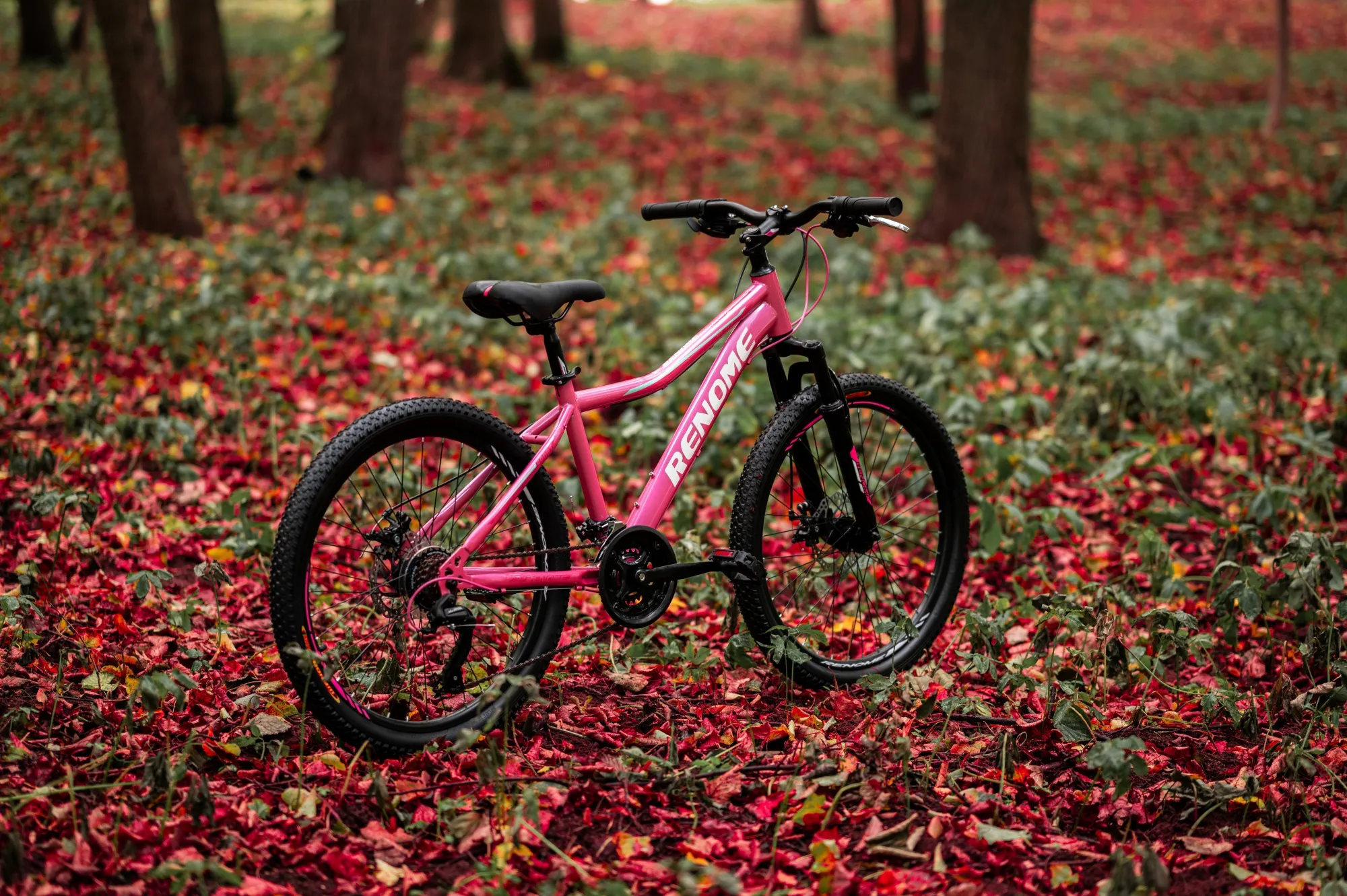 Велосипед RENOME JR 24