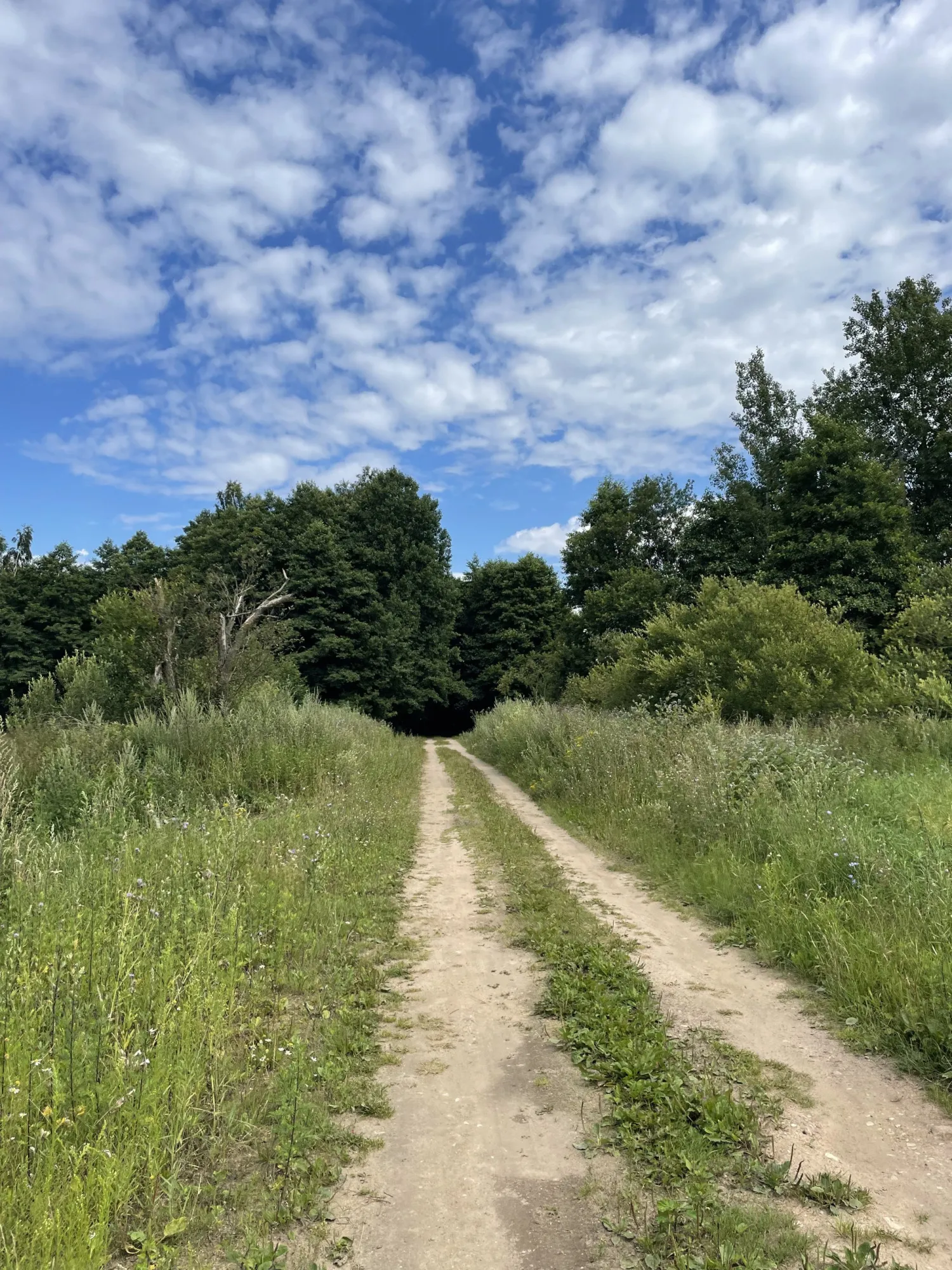 From Zales'e around Vishnevo lake 109k