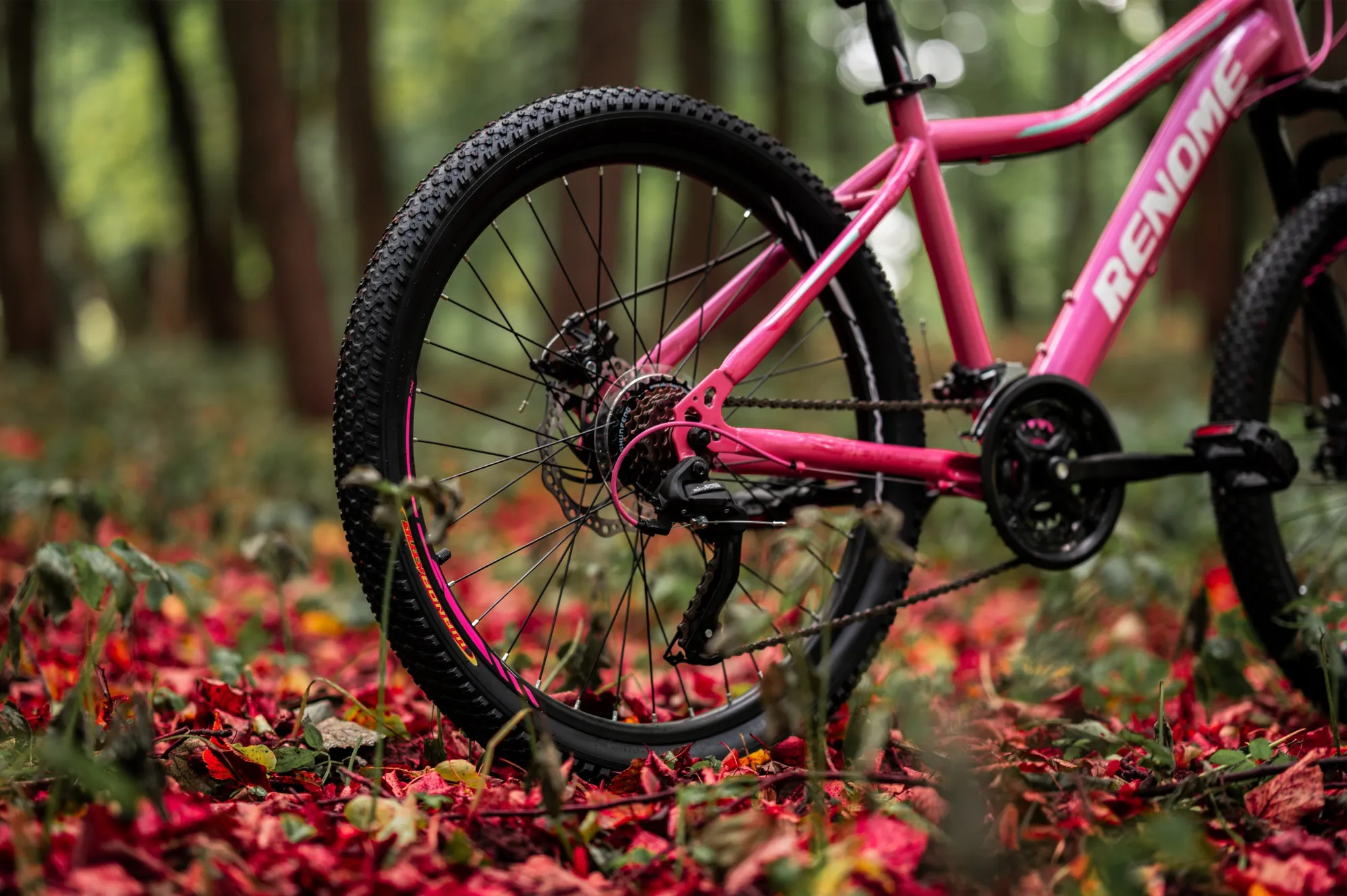 Велосипед RENOME JR 24