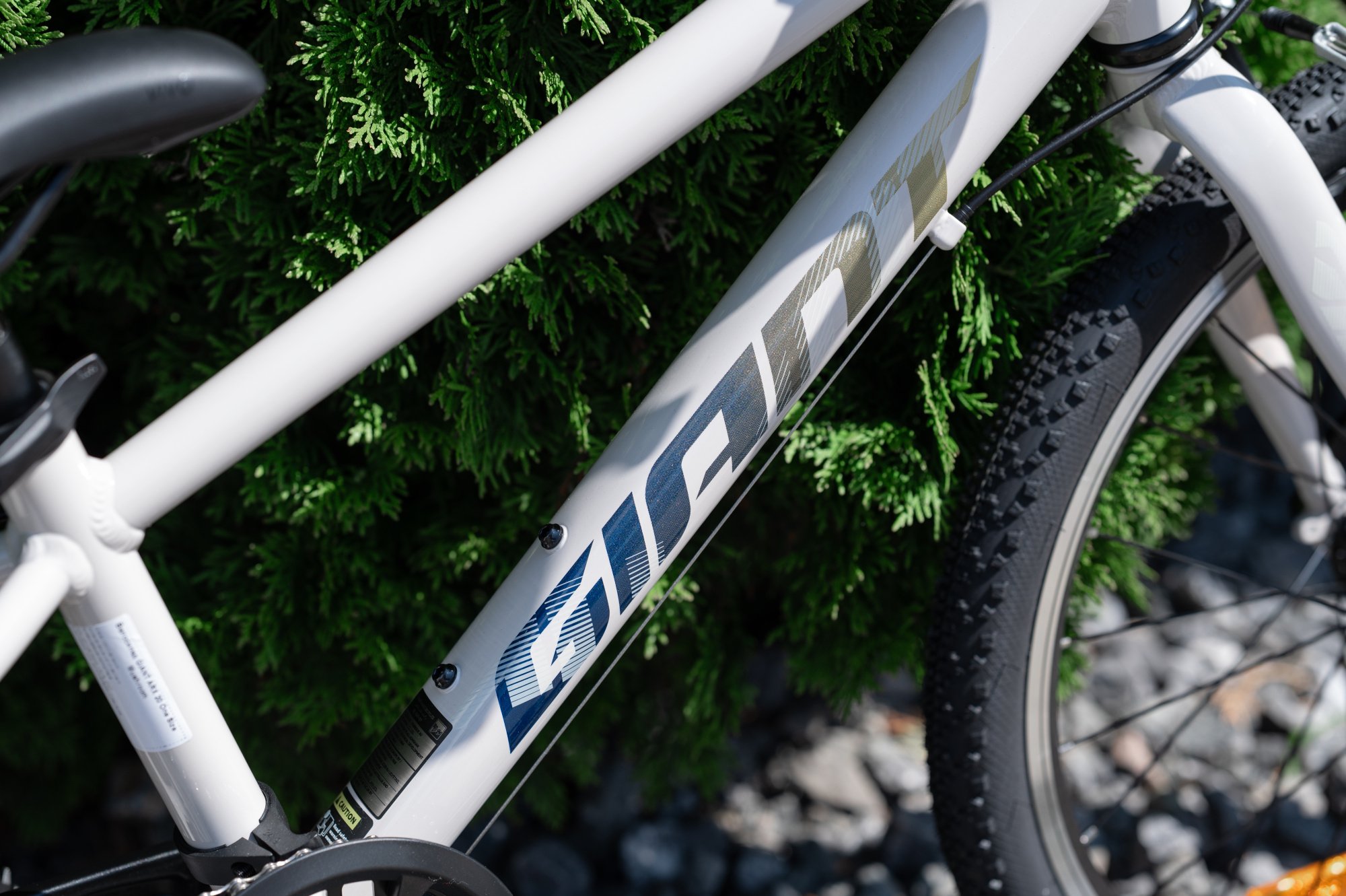 Велосипед GIANT ARX 20 Mushroom