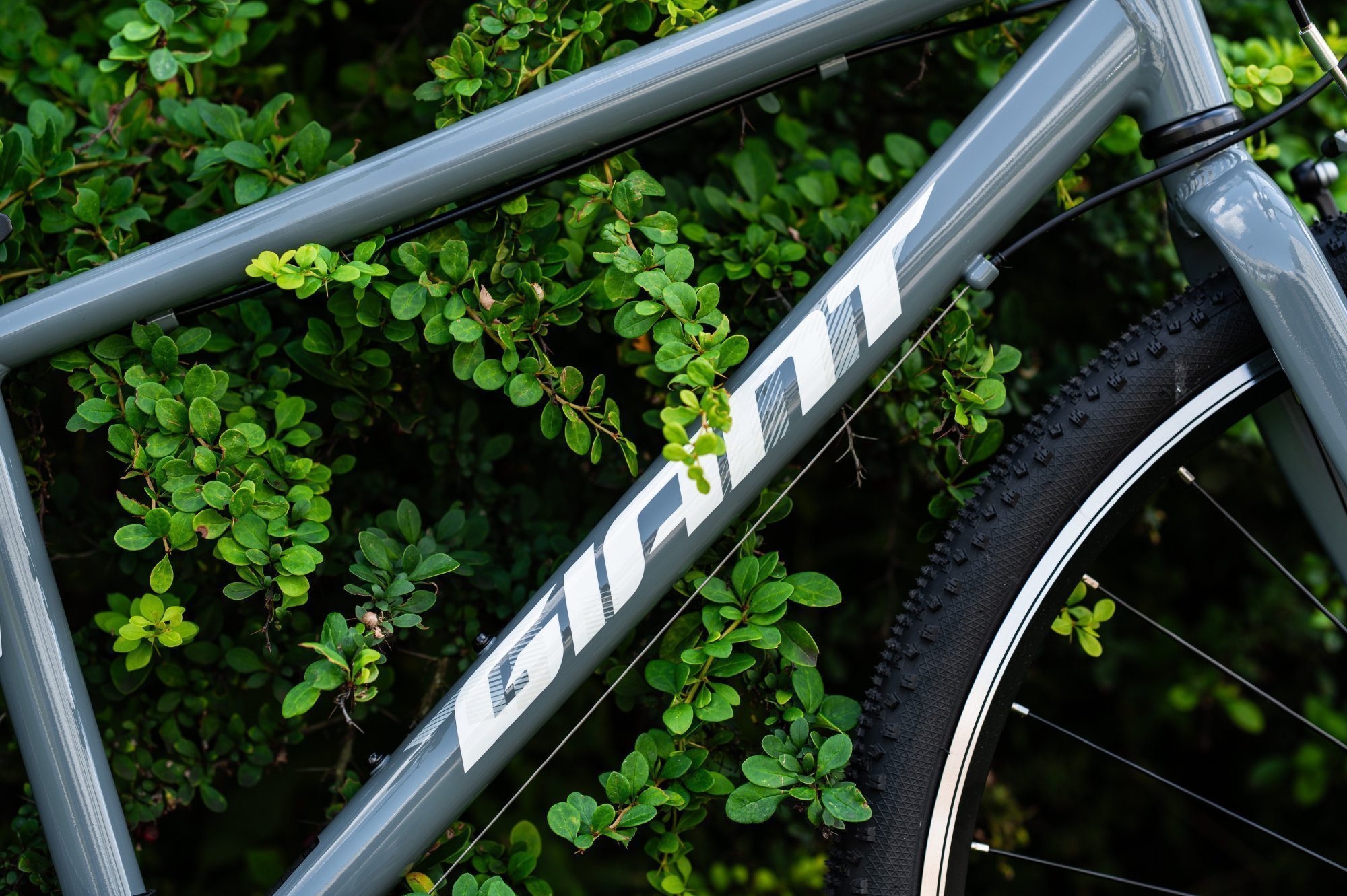 Велосипед GIANT ARX 26 Cobalt