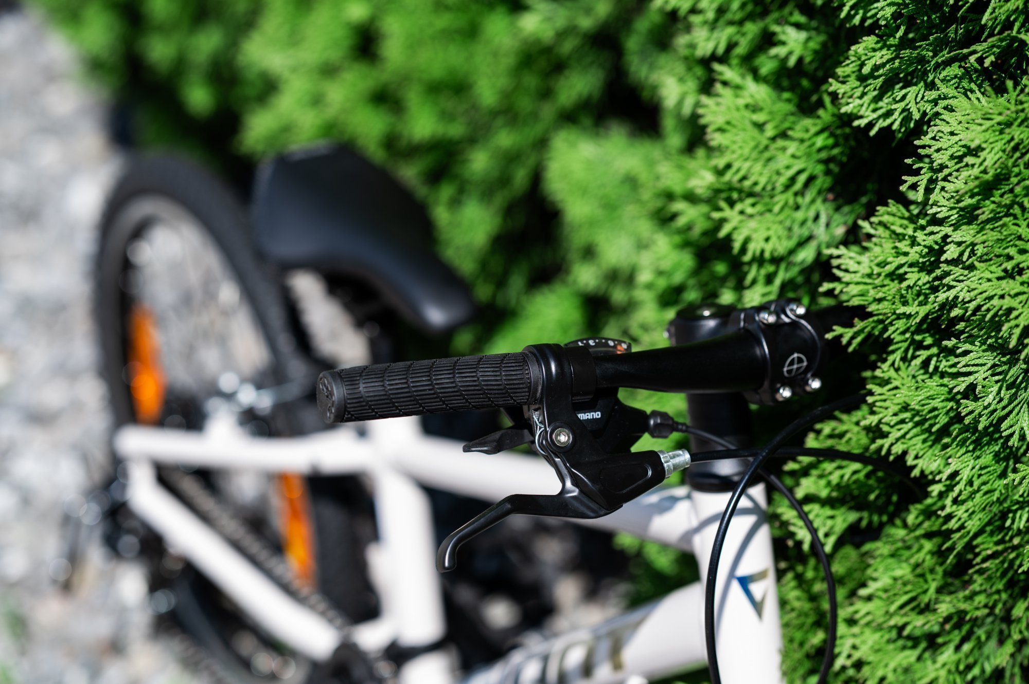 Велосипед GIANT ARX 24 Mushroom