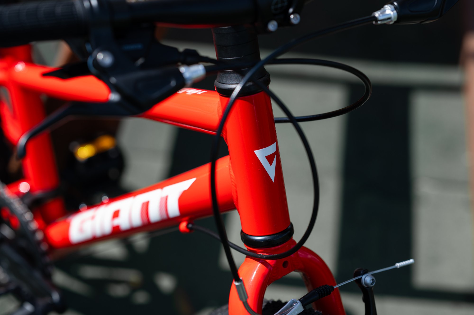 Велосипед GIANT ARX 20 Phoenix Fire