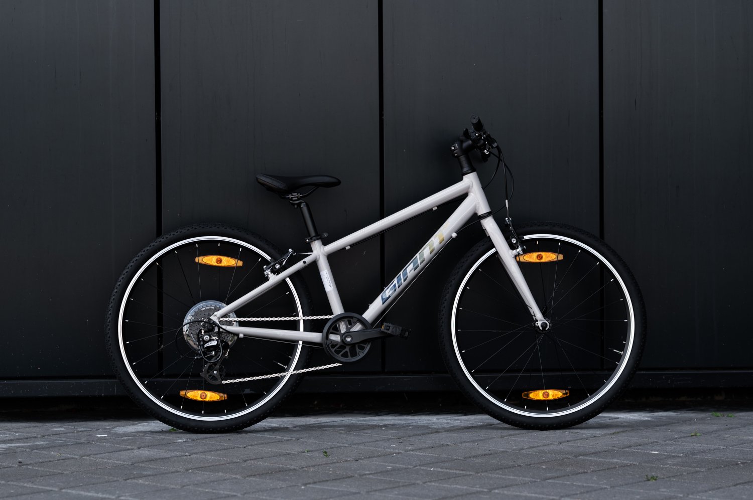 Велосипед GIANT ARX 24 Mushroom