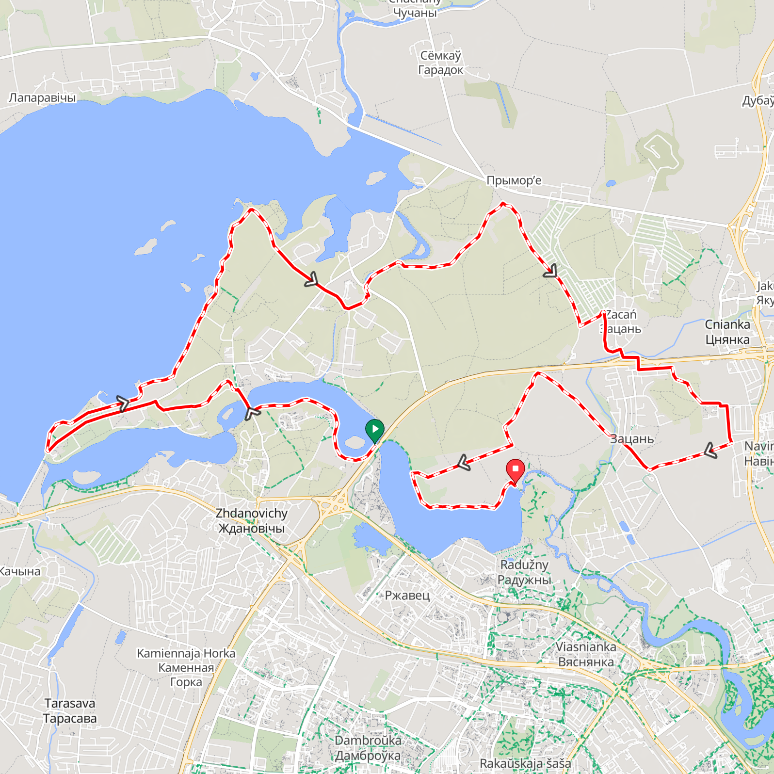 Coors Original — the Golden Bullet