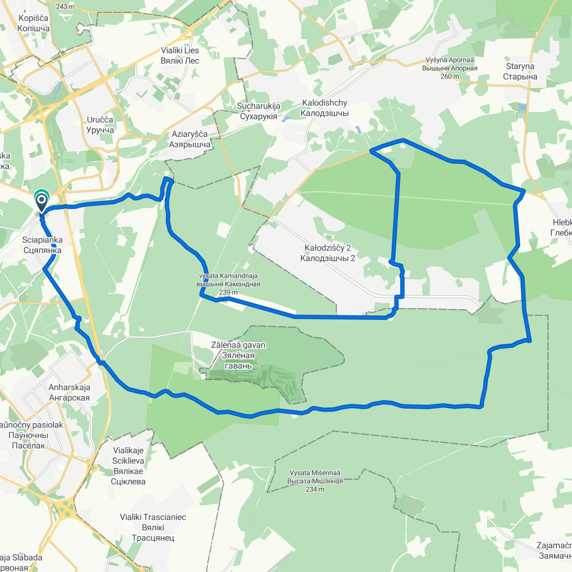 Polygon & Stiklevo Forest G40