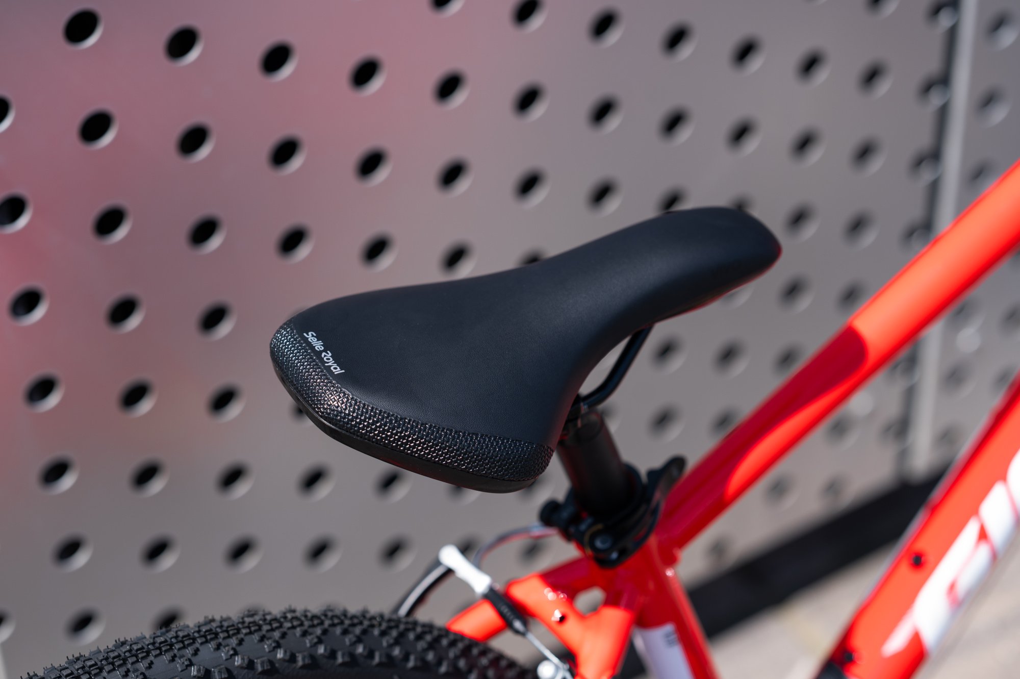 Велосипед GIANT ARX 24 Phoenix Fire