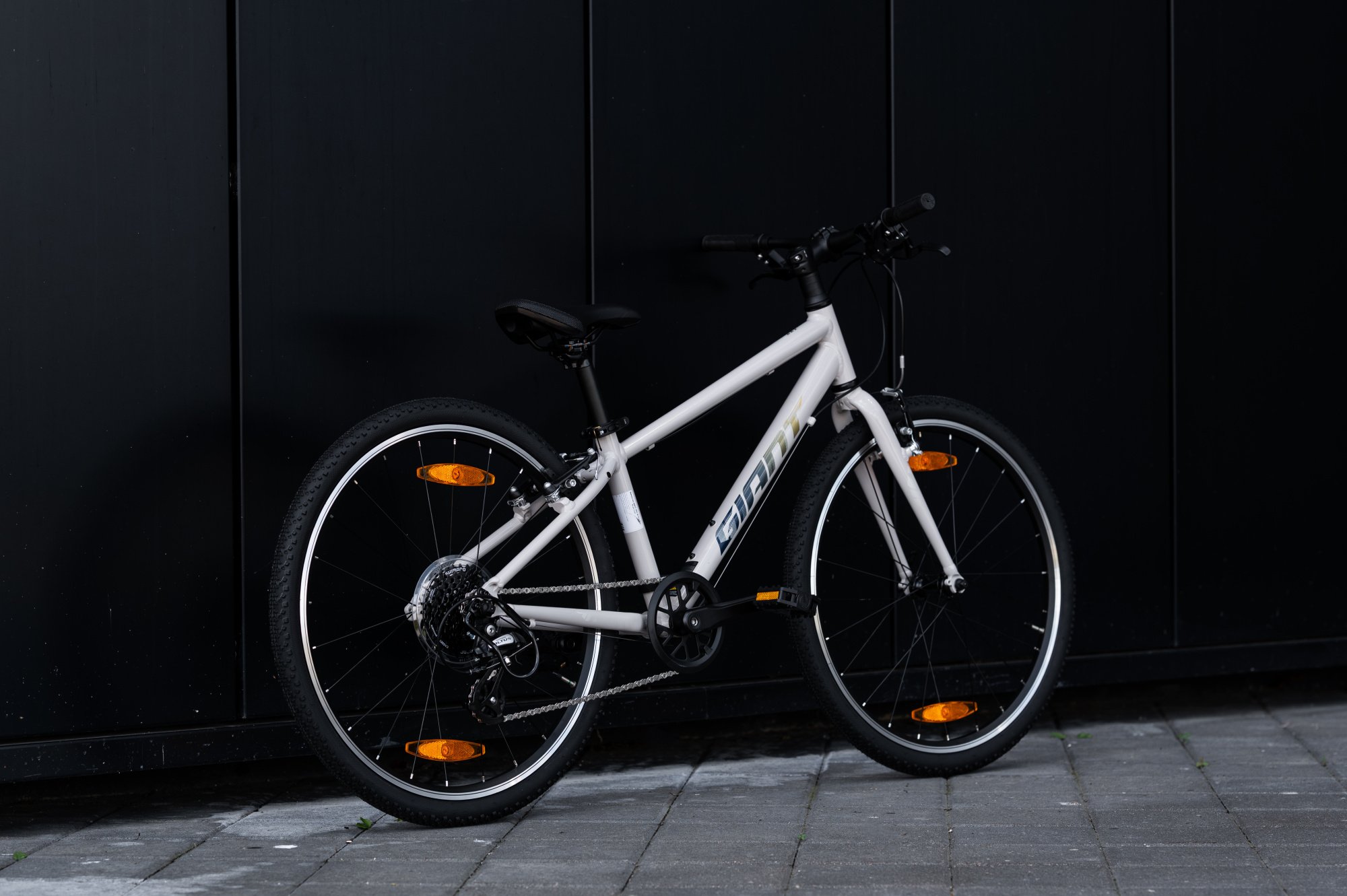 Велосипед GIANT ARX 24 Mushroom