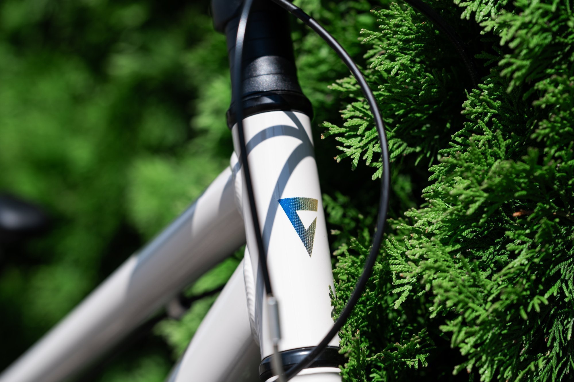 Велосипед GIANT ARX 20 Mushroom